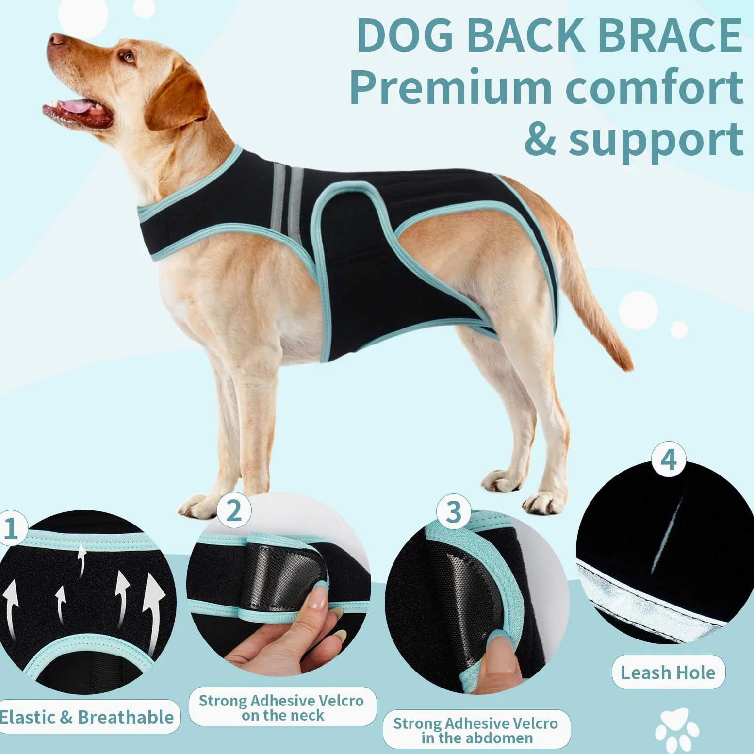 Support Dorsal pour Chien, Protection Dorsale Aide À La Récupération et À La Rééducation des Blessures(M)