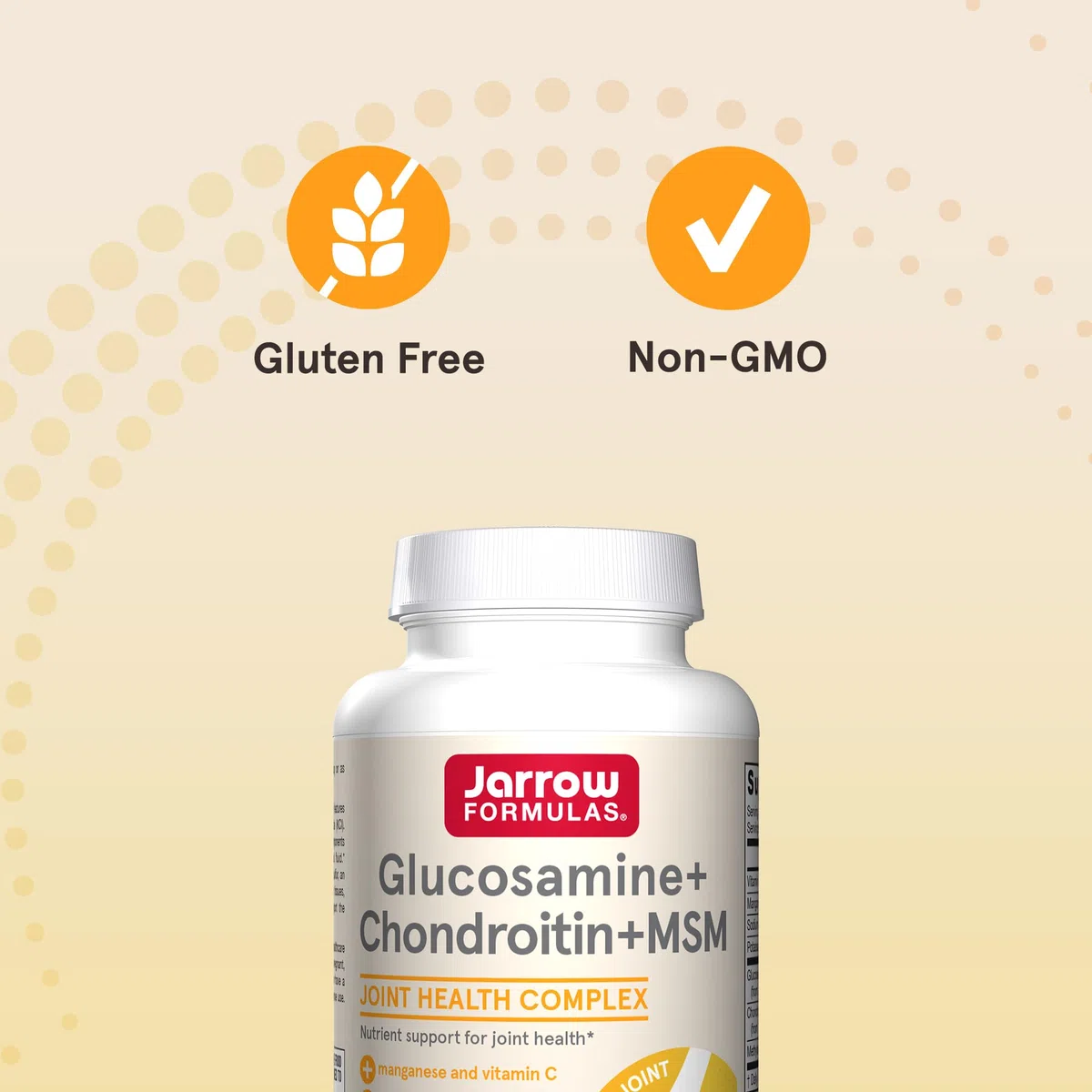 Glucosamine + Chondroitin + MSM - 120 caps