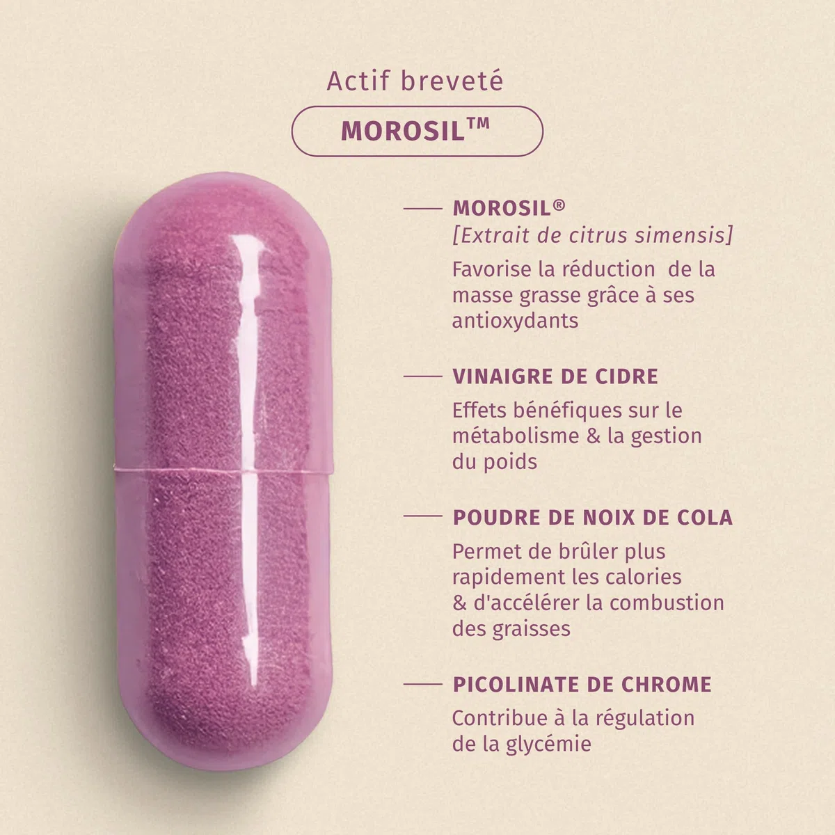 Morosil ® + vinaigre de cidre | Contrôle du poids, digestion & régulation de la glycémie | 60 gélules gastro-résistantes | Fabriqué en France | Valebio