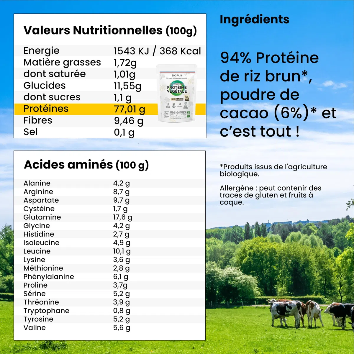 Protéine Vegan, Végétale et Bio - À Base de Riz Bio et Cacao - Saine, 100% Naturelle et Responsable - 20 Doses de 25 Gr - 500 Gr