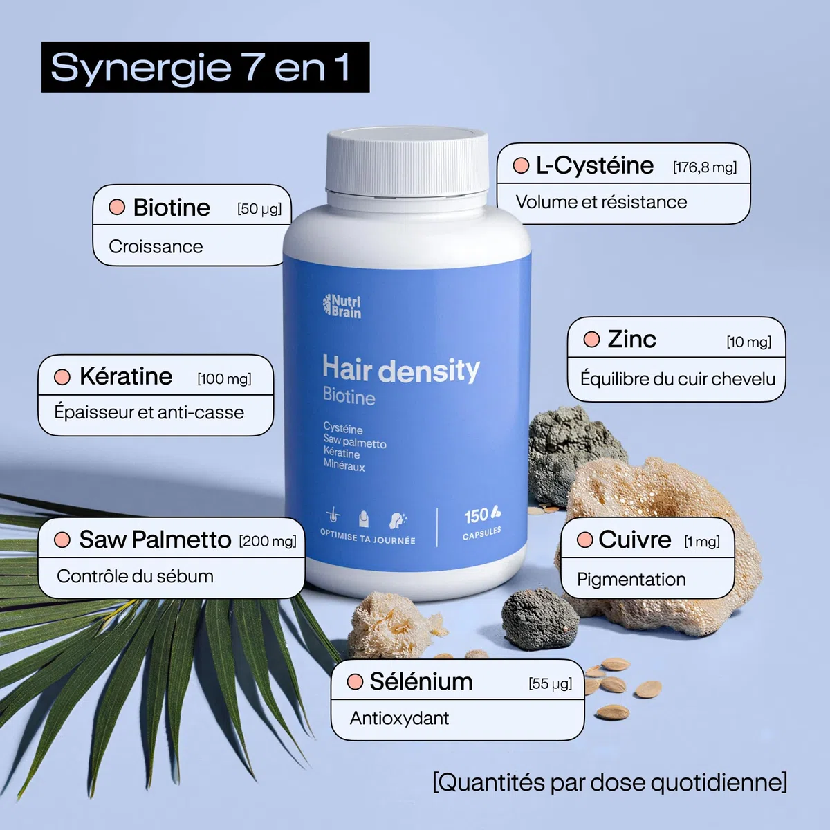 Hair Density Anti-chute Cheveux | Biotine, Saw Palmetto, Kératine, Zinc | 150 gélules | 5 mois | Avec Cystéine, Sélénium et Cuivre | Croissance des cheveux, Freine la chute des cheveux Femme et Homme