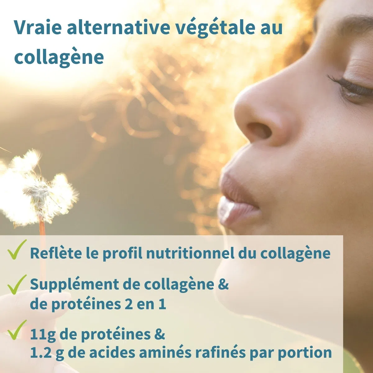 Collagène Vegan en Poudre Avancé avec Vitamine C, 11 g de Protéines, 21 Acides Aminés (y compris Glycine), Peptides de Collagène 100% Végétale, Non Aromatisé, 35 portions – par Igennus