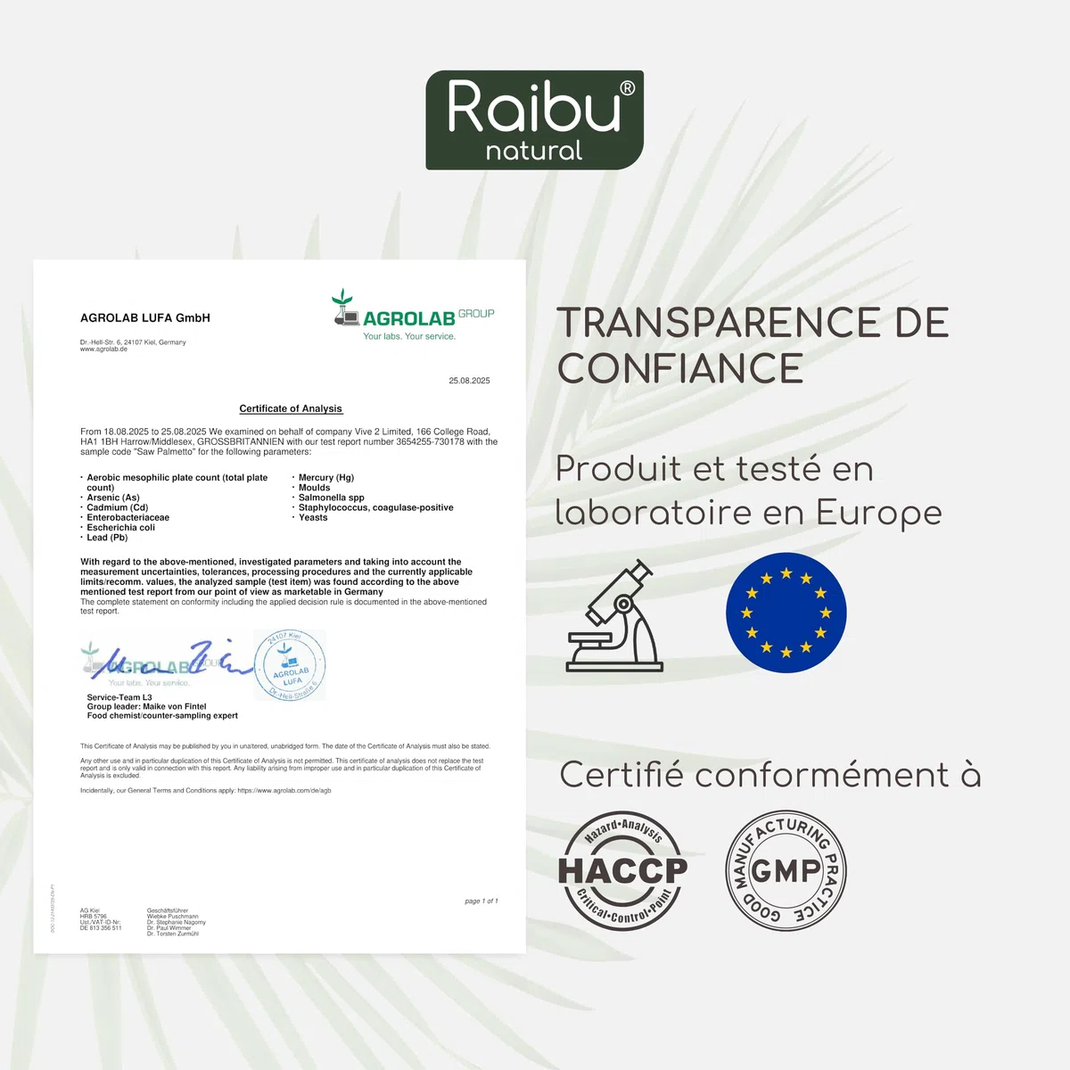 Saw Palmetto - Haute Teneur: 11000 mg de Palmier Nain par Gélule (20:1), avec Graines de Courge - 120 Gélules de Palmier Nain pour 4 Mois d’Utilisation - Végan & Sans Additifs - Raibu