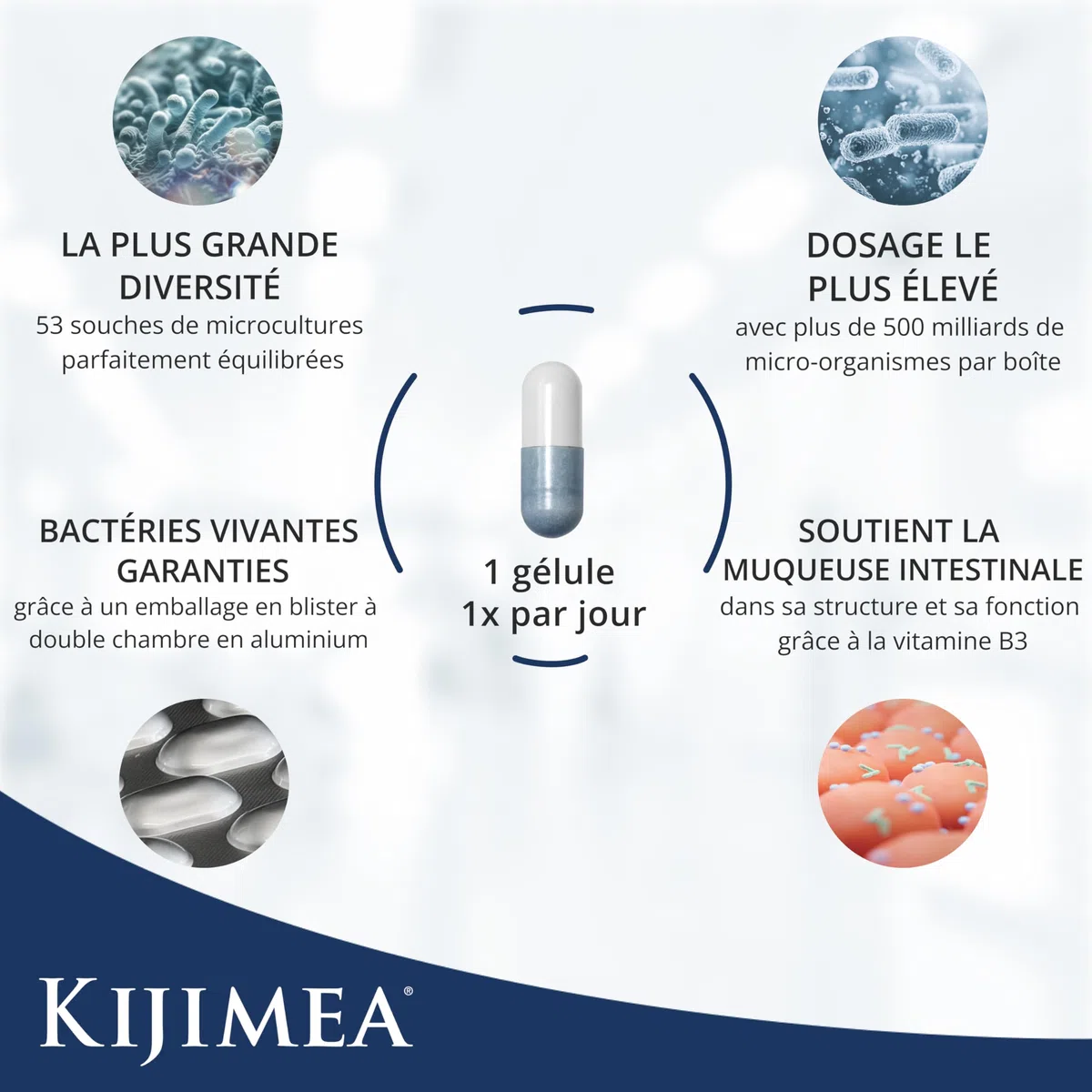 Kijimea® K53 Advance – Gélules de bactéries intestinales à haut dosage | 53 souches de microcultures sélectionnées dans la flore intestinale | avec biotine | >500 milliards d’UFC par boîte 28 gélules