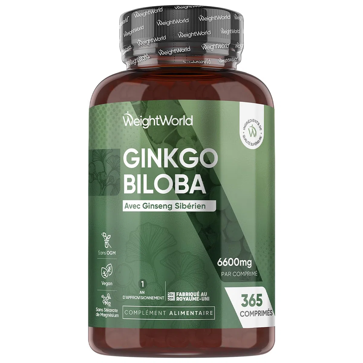 Ginkgo Biloba 6600mg avec Ginseng Sibérien, 365 Micro-Comprimés pour 1 An, Extrait de Ginko Biloba en Comprimés Vegan avec Flavones Glycosides & Terpènes Lactones, Sans Acide Ginkgolique et Sans OGM