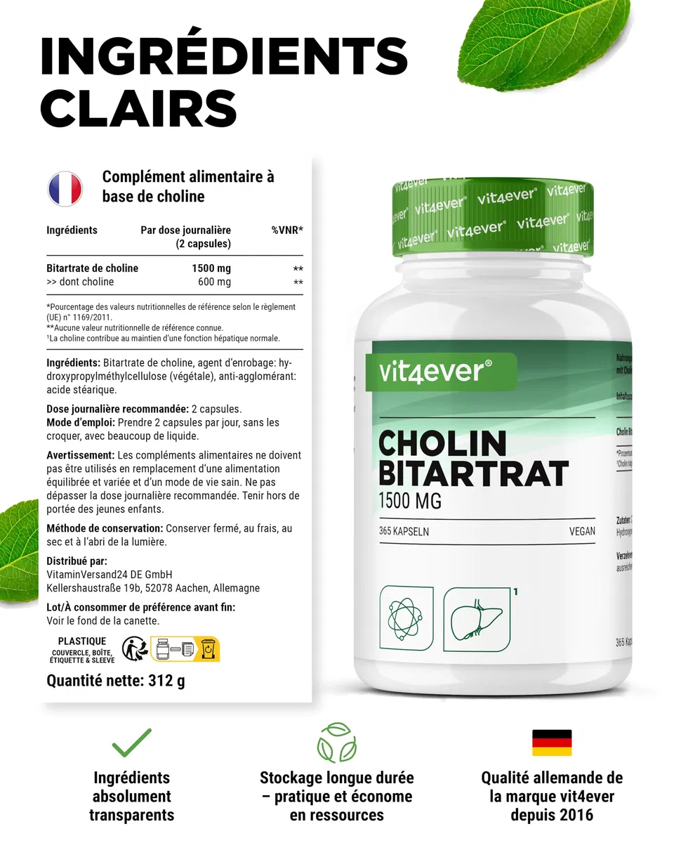 Gélules de Choline – 365 Gélules avec 1500 mg de Bitartrate de Choline par Dose Quotidienne – plus de 6 Mois de Réserve – Foie, Homocystéine & Métabolisme des Graisses – Naturel, Fortement Dosé, Véga