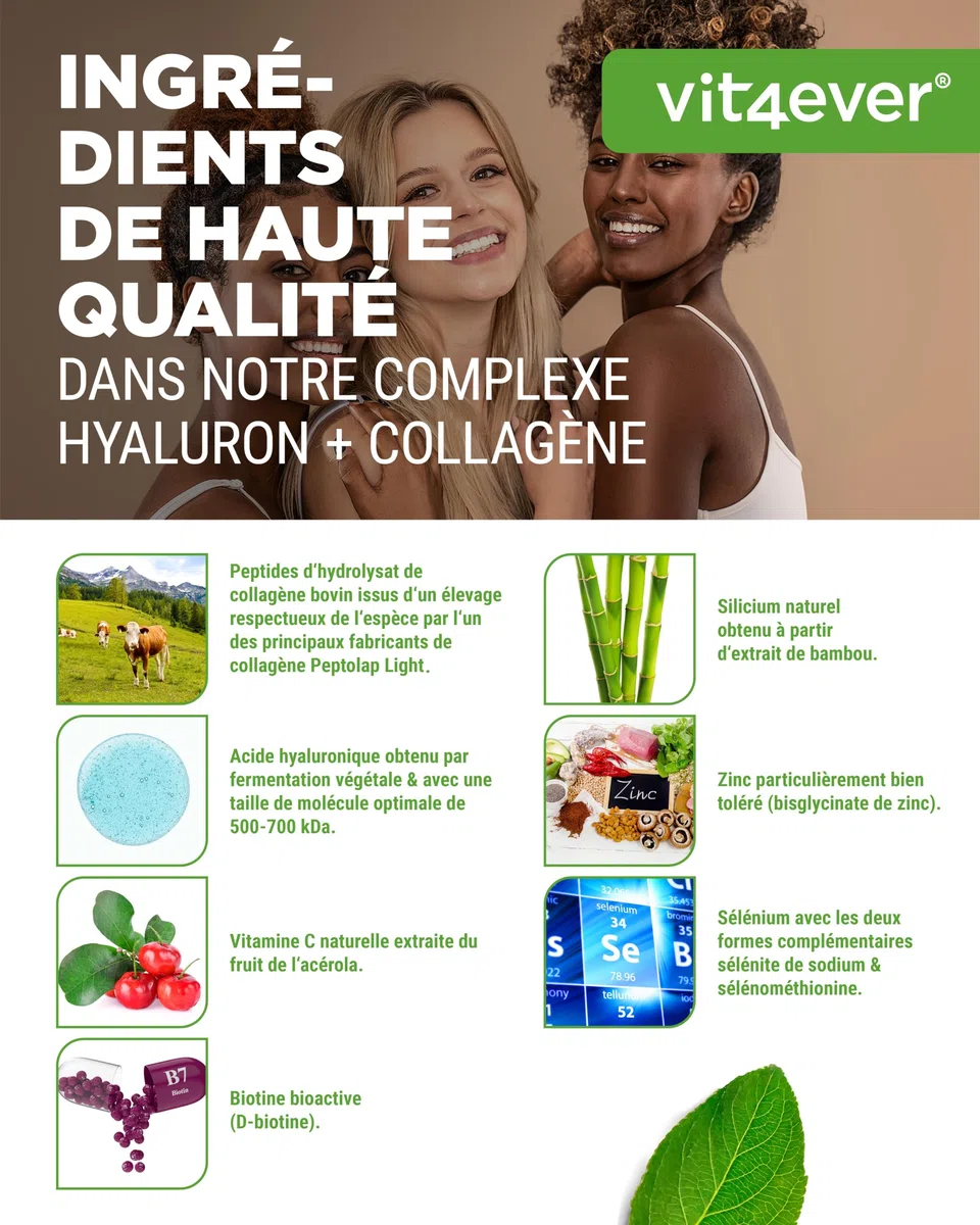 vit4ever Complexe Collagène Acide Hyaluronique - 240 Gélules - Premium: avec de la Biotine Bioactive, du Sélénium, du Zinc, de la Vitamine C Naturelle Issue de l'Acérola et du Silicium Issu du Bambou