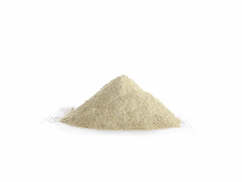 LEVURE DE BIERE BIO * 500mg / 180 gélules végétales * Prévention du vieillissement * Fabriqué en FRANCE