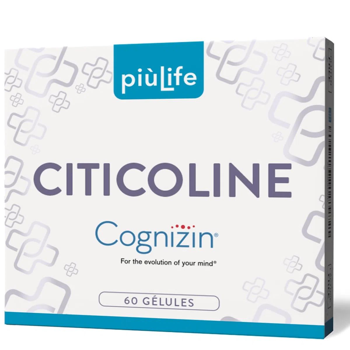 Citicoline Cognizin 500 mg PiùLife – Complément Alimentaire Memoire et Concentration – CDP Choline, Précurseur de Phosphatidylcholine et Acétylcholine – 2 Gélules par Jour, Sans Lactose, Sans Gluten