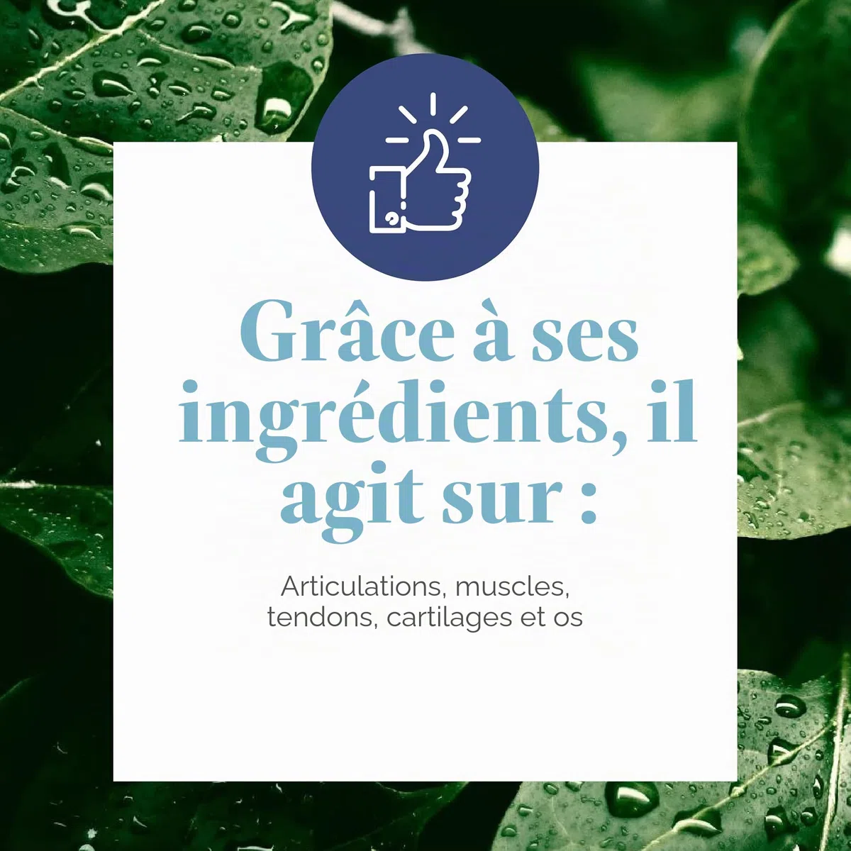 ARKOPHARMA ARKOFLEX DOLEXPERT colageno sabor naranja – produit multifonction à large champ d’application, convient à ceux qui recherchent un produit fiable au quotidien, poids 390 g et devient un alli
