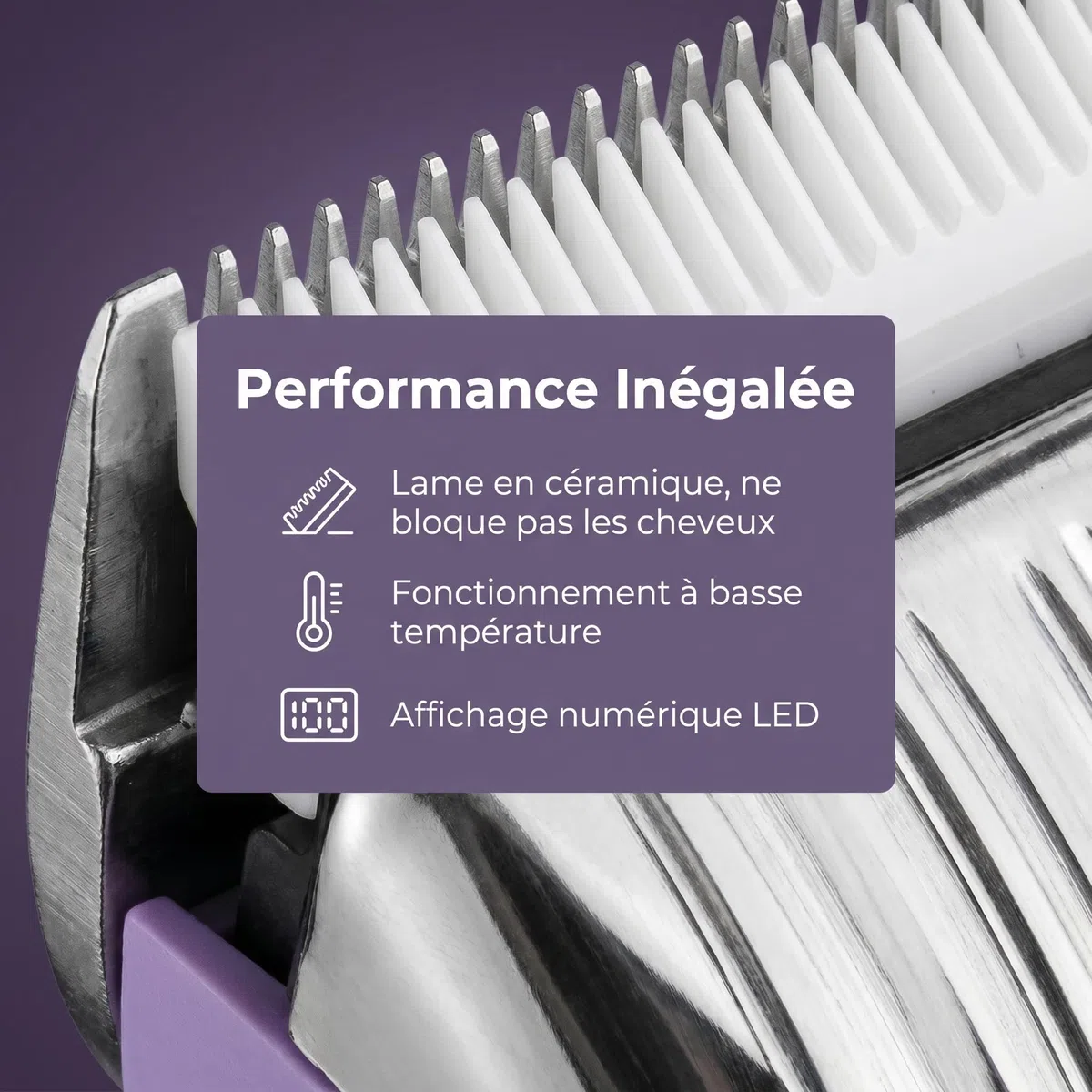 Tondeuse Électrique Femme, 4-en-1 Épilateur et Tondeuse Corps – Rasoir Rechargeable sans Fil, Utilisation Sèche et Humide, Épilation Douce pour Maillot, Aisselles, Jambes, Bras
