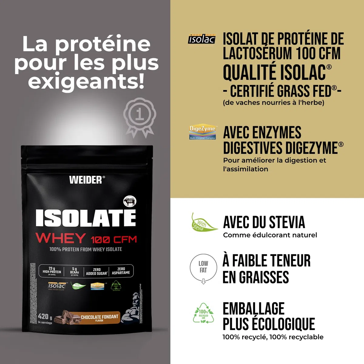 Weider Isolate Whey 100CFM (420g) Goût Chocolat, 100% Isolat de Protéines de Lactosérum 23g /Portion, Avec Enzymes Digestives, Sans Sucres Ajoutés, ni Aspartame, Faible teneur en Graisses, 14 portions
