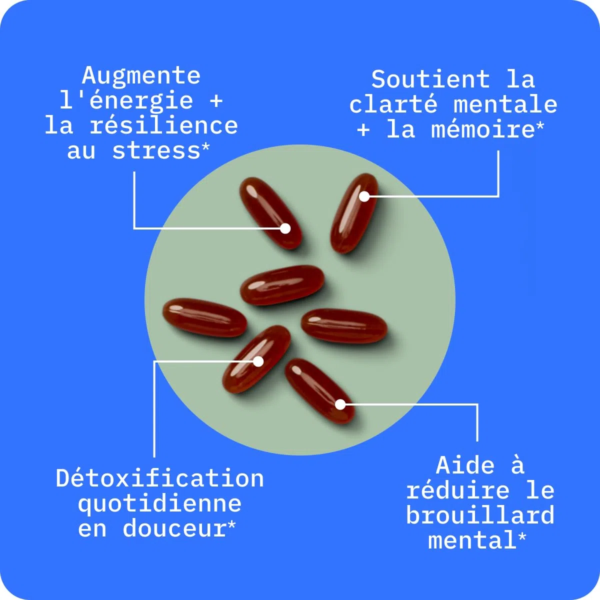 BodyBio PC - Complexe de Phospholipides avec Phosphatidylserine - Clarté Mentale, Memoire et Concentration - Complement Alimentaire Cerveau et Détox Douce - 60 Gélules