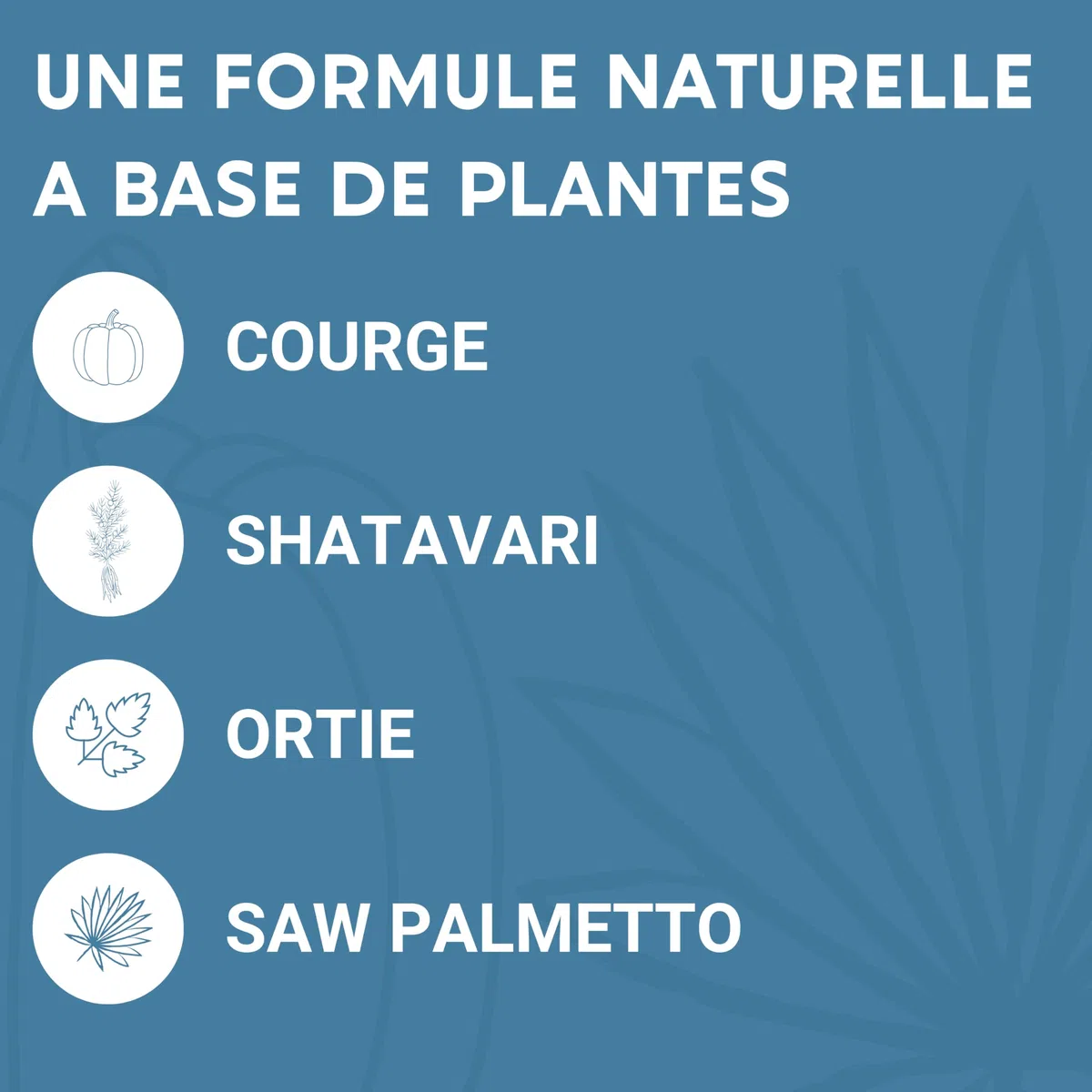 FORMULE PROSTATE | Courge, Saw Palmetto, Ortie, Shatavari | Rétention, Débit, Fréquence | 60 Gélules | Fabriqué en France | Complement alimentaire