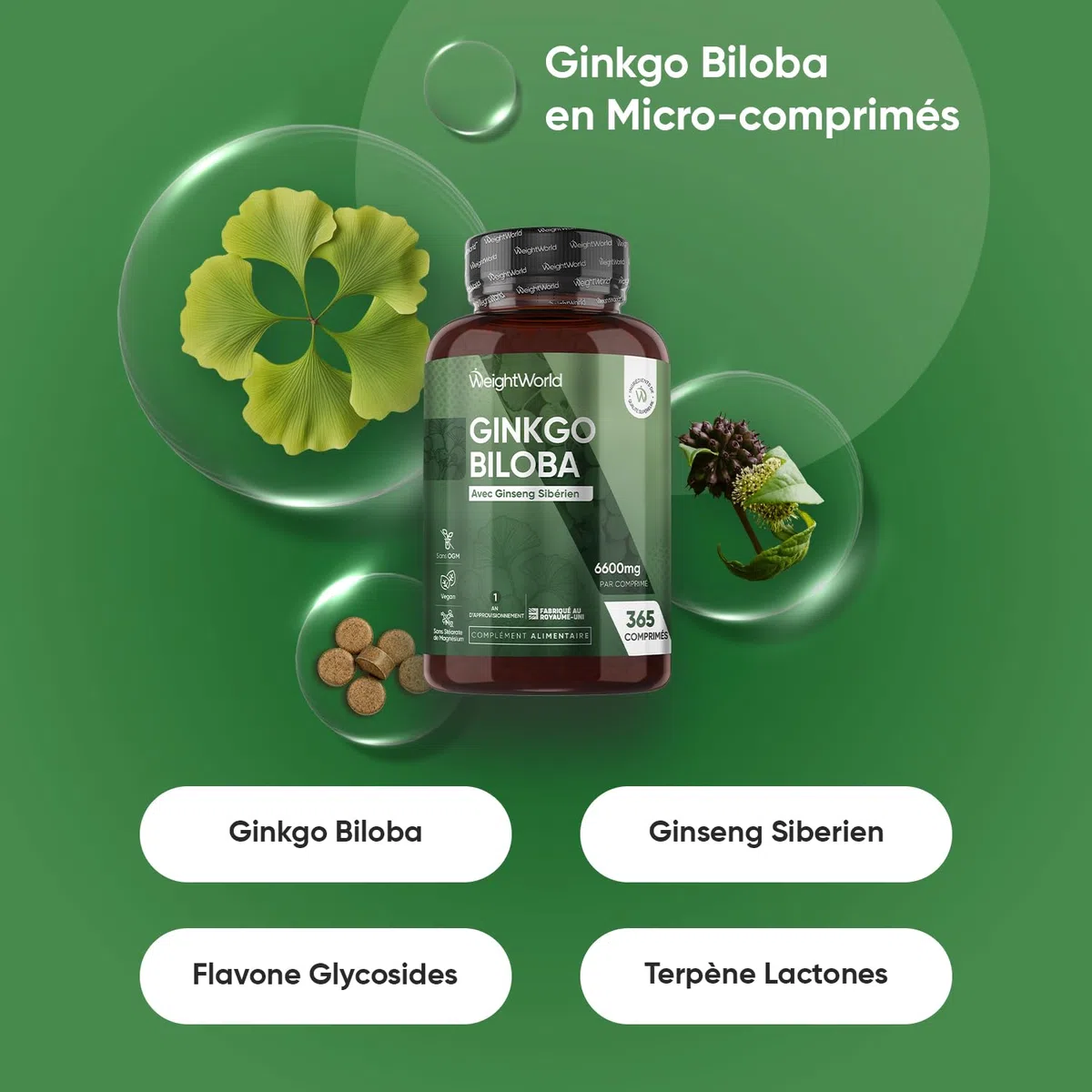 Ginkgo Biloba 6600mg avec Ginseng Sibérien, 365 Micro-Comprimés pour 1 An, Extrait de Ginko Biloba en Comprimés Vegan avec Flavones Glycosides & Terpènes Lactones, Sans Acide Ginkgolique et Sans OGM