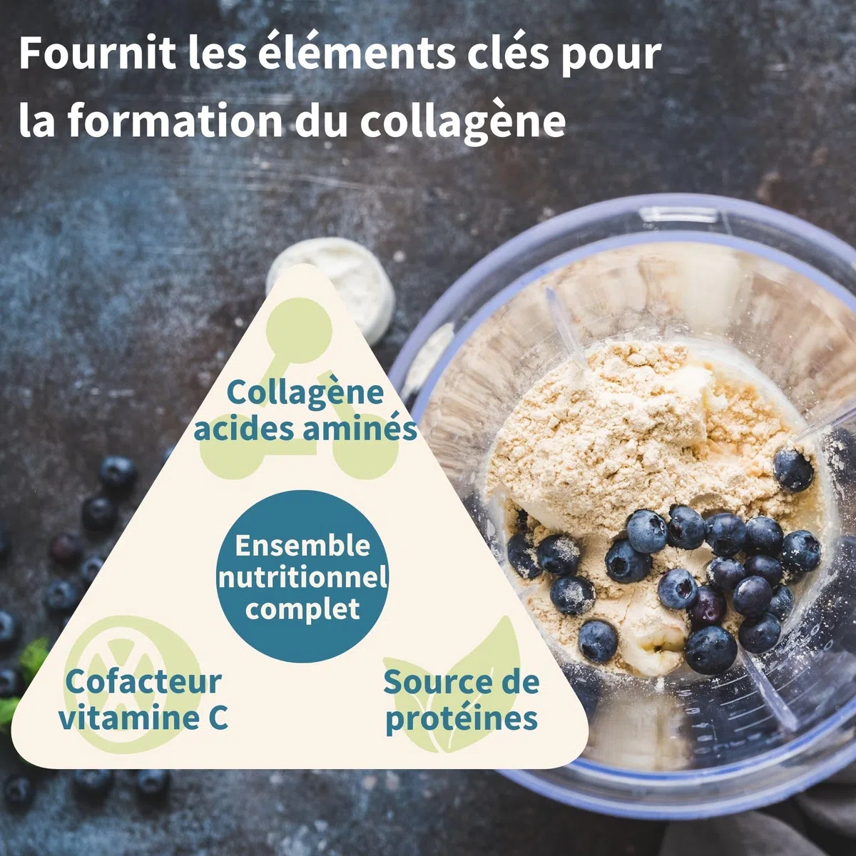 Collagène Vegan en Poudre Avancé avec Vitamine C, 11 g de Protéines, 21 Acides Aminés (y compris Glycine), Peptides de Collagène 100% Végétale, Non Aromatisé, 35 portions – par Igennus