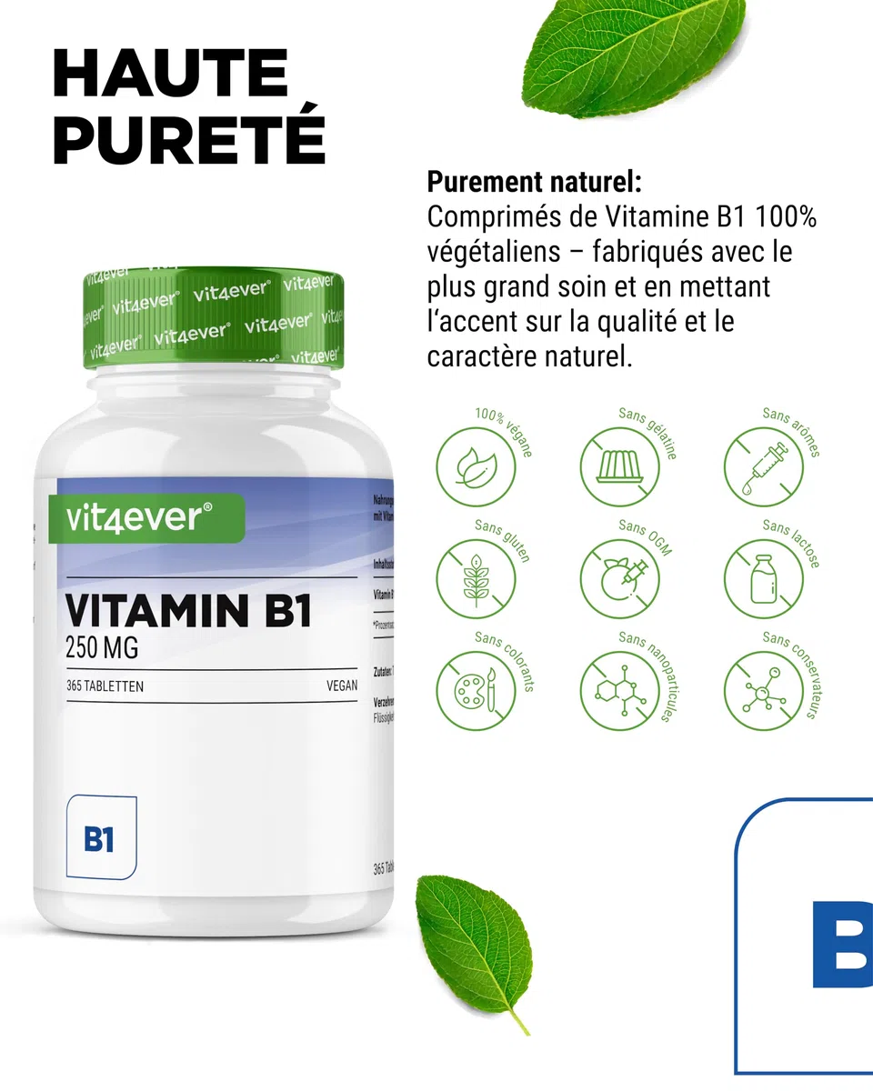 Vitamine B1 (Thiamine) - 250 mg - 365 Comprimés - Premium : Thiamine Hydrochloride - Haute biodisponibilité - Réserve de 12 mois - Sans additif indésirable - Vegan