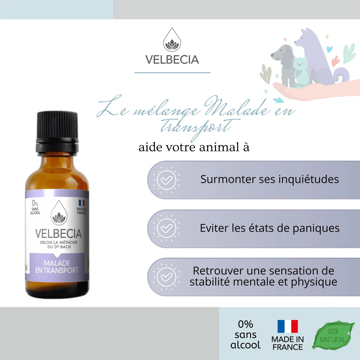 Velbecia Animal Malade en voiture 50ml +1 OFFERT Elixirs de fleurs SANS ALCOOL - Méthode du Dr Bach - Voyager plus sereinement, transport paisible, apaisé, chat, chien