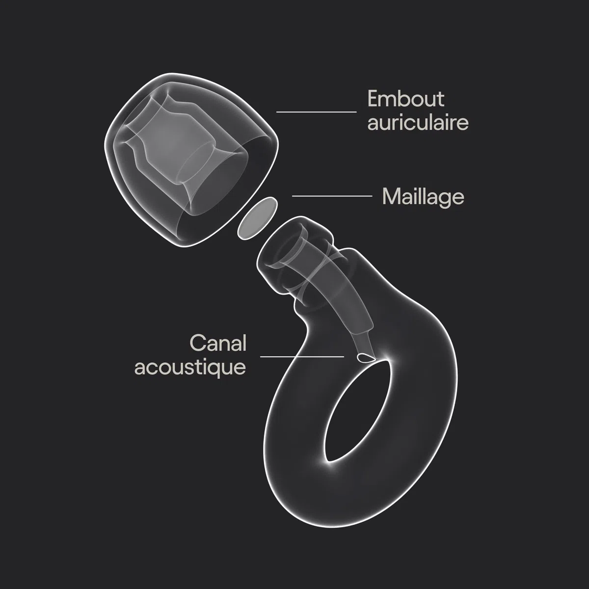 Loop Engage 2 Bouchons d’oreille – Pour des oreilles apaisées au quotidien tout en gardant un discours clair en sorties, au travail, à la maison & sensibilité au bruit –Réduction du bruit de 16 dB