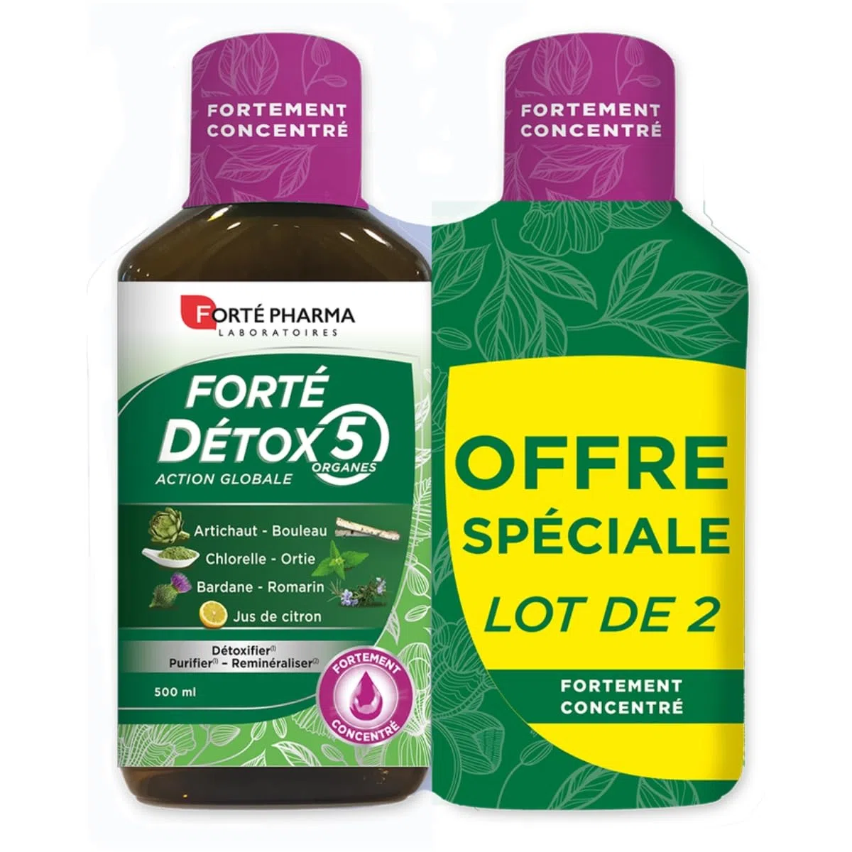 Forté Pharma - Forté Détox 5 organes - Artichaut, Bouleau, Bardane, Romarin - Complement alimentaire integrale detox, 5 émonctoires, Elimination - 2x500ml, 20 jours