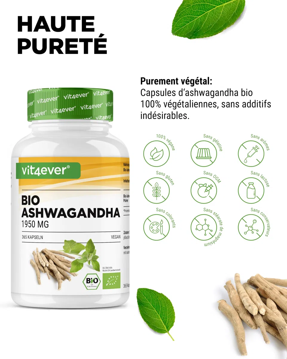 vit4ever Original Bio Ashwagandha - 365 gélules - Hautement dosé avec 1950mg par portion journalière - Véritable baie du sommeil indienne - Testé en laboratoire - Vegan