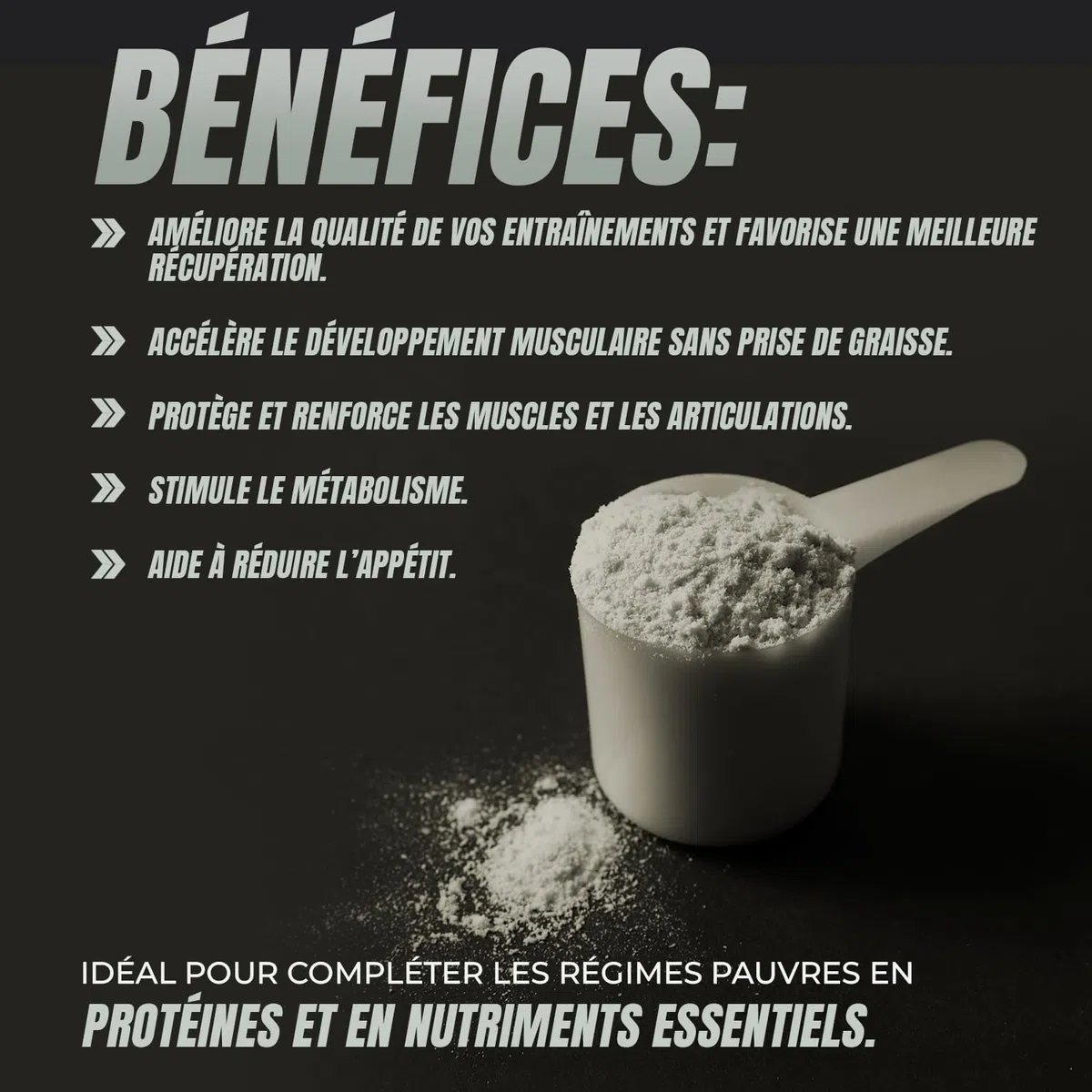 Healthy Fusion Whey Protein | 43 g/dose Protéine Pure | Collagène, Magnésium et Vitamine B6 | Augmente la masse musculaire, améliore l’entraînement, renforce les articulations | Double Chocolat 1kg
