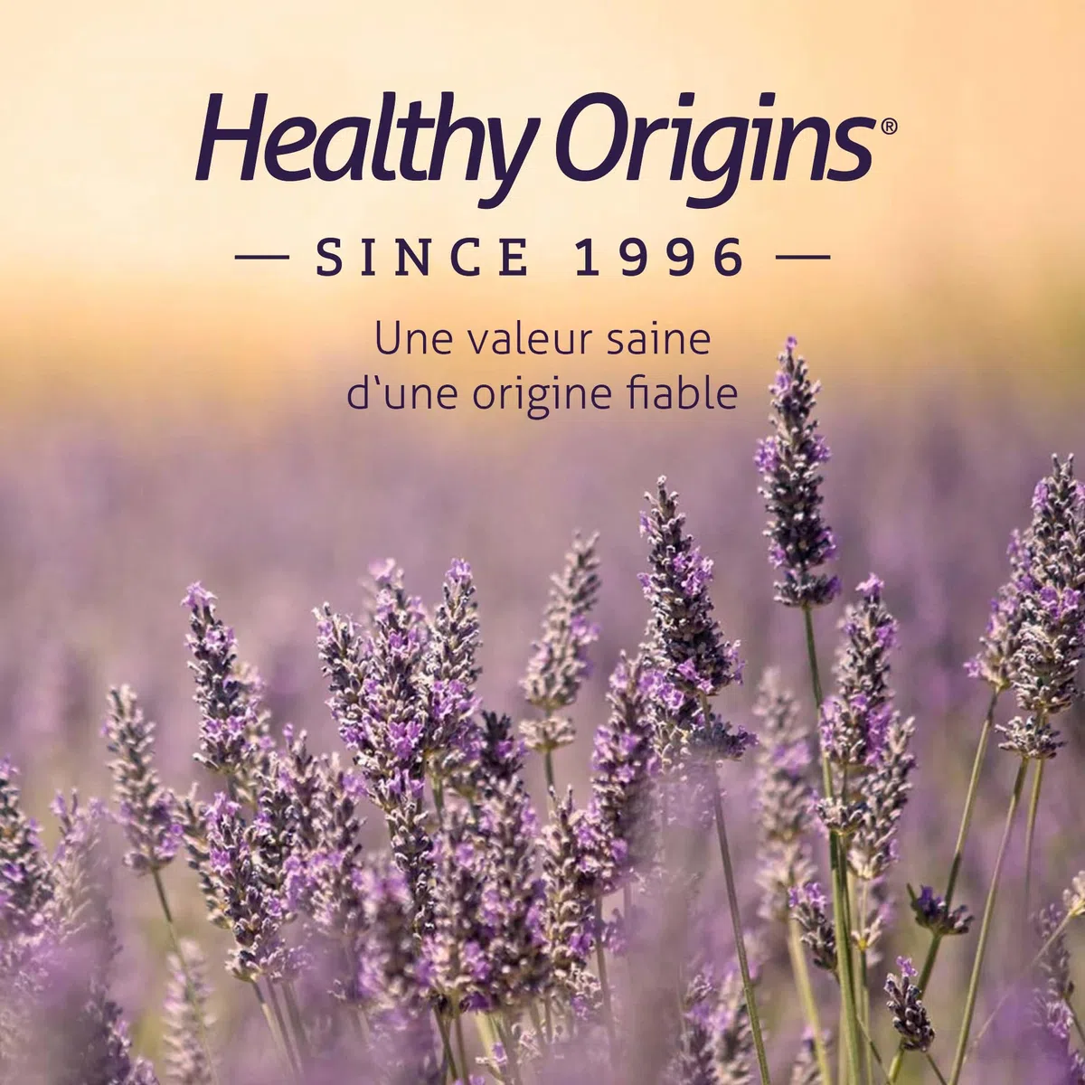 Healthy Origins, Natural Vitamin E, 268g (400 UI), 1 Capsule tous les 2 Jours, 90 Capsules molles, Haute Dosé, Sans Soja, Sans Gluten, Sans OGM