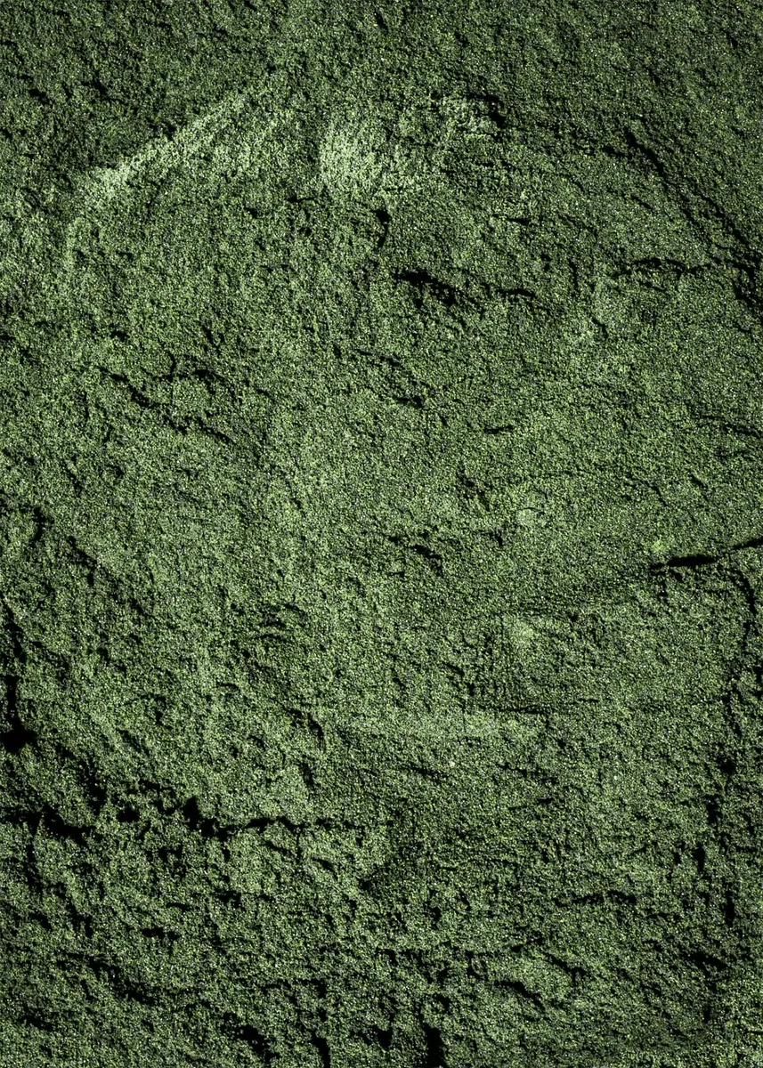 KoRo - Spiruline en poudre bio 500 g