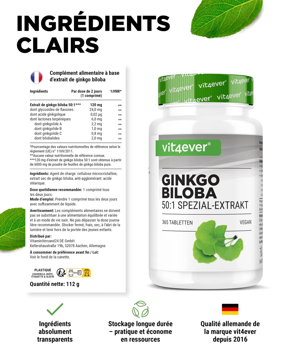 vit4ever Ginkgo Biloba 6000 mg - 365 Comprimés – Extrait Premium : avec Flavonoglycosides + Ginkgolides-Lactones Terpéniques & sans Acide Ginkgolique - Hautement Dosé – Vegan