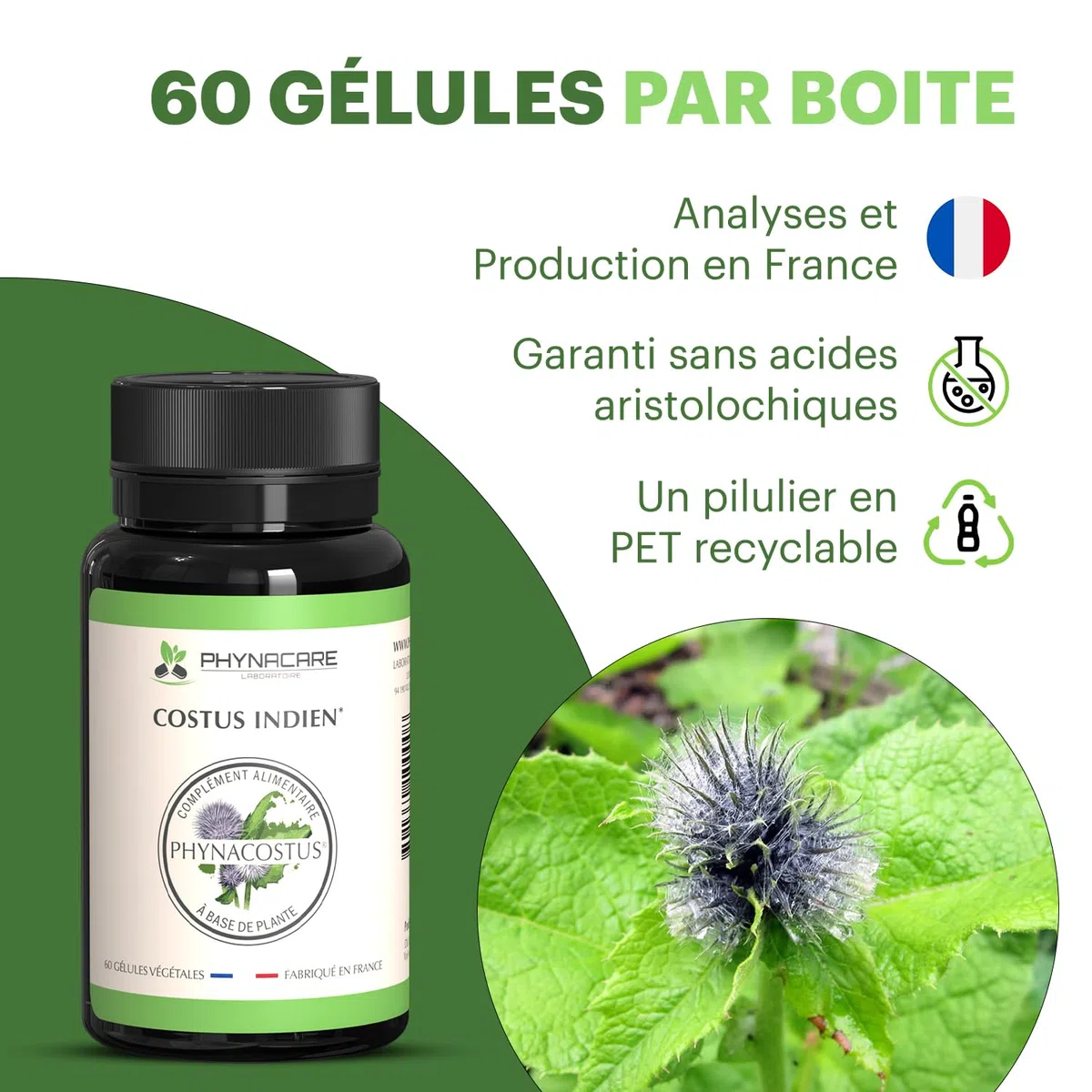COSTUS INDIEN - COSTUS MARIN - 60 GÉLULES VÉGÉTALES - PHYNACOSTUS, FABRIQUE ET ANALYSÉ EN FRANCE, PHYNACARE LABORATOIRE
