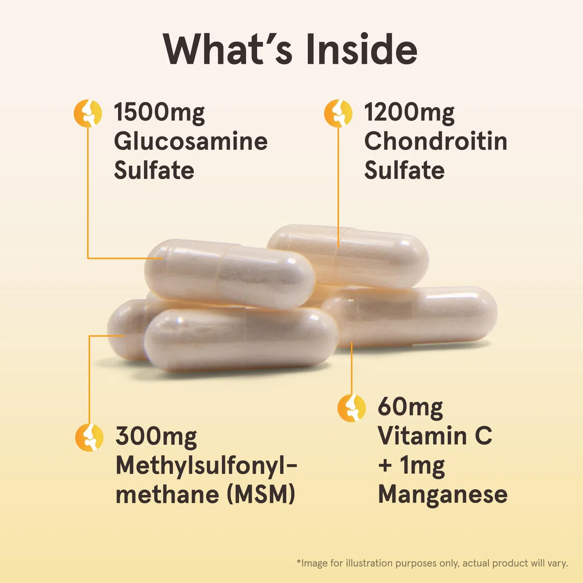 Glucosamine + Chondroitin + MSM - 120 caps