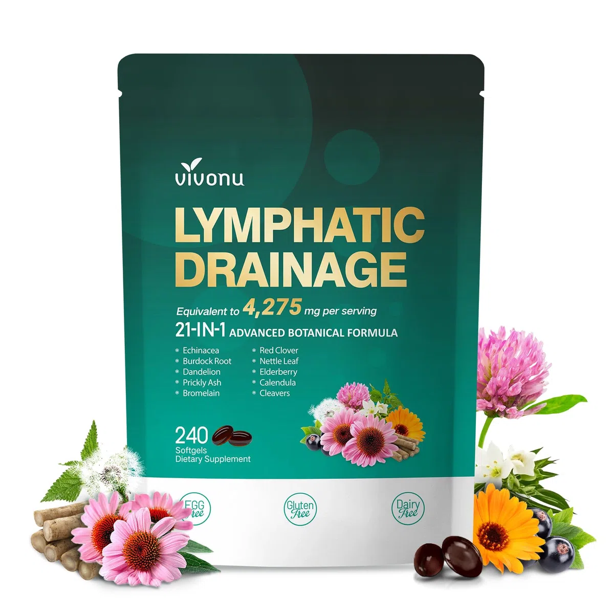 VivoNu Lymphatique 240 pcs - Soutient l'Absorption Système Immunitaire - l'Équilibre et le Bien-Être - Contre Jambes Lourdes - 100% Naturel - Sans OGM