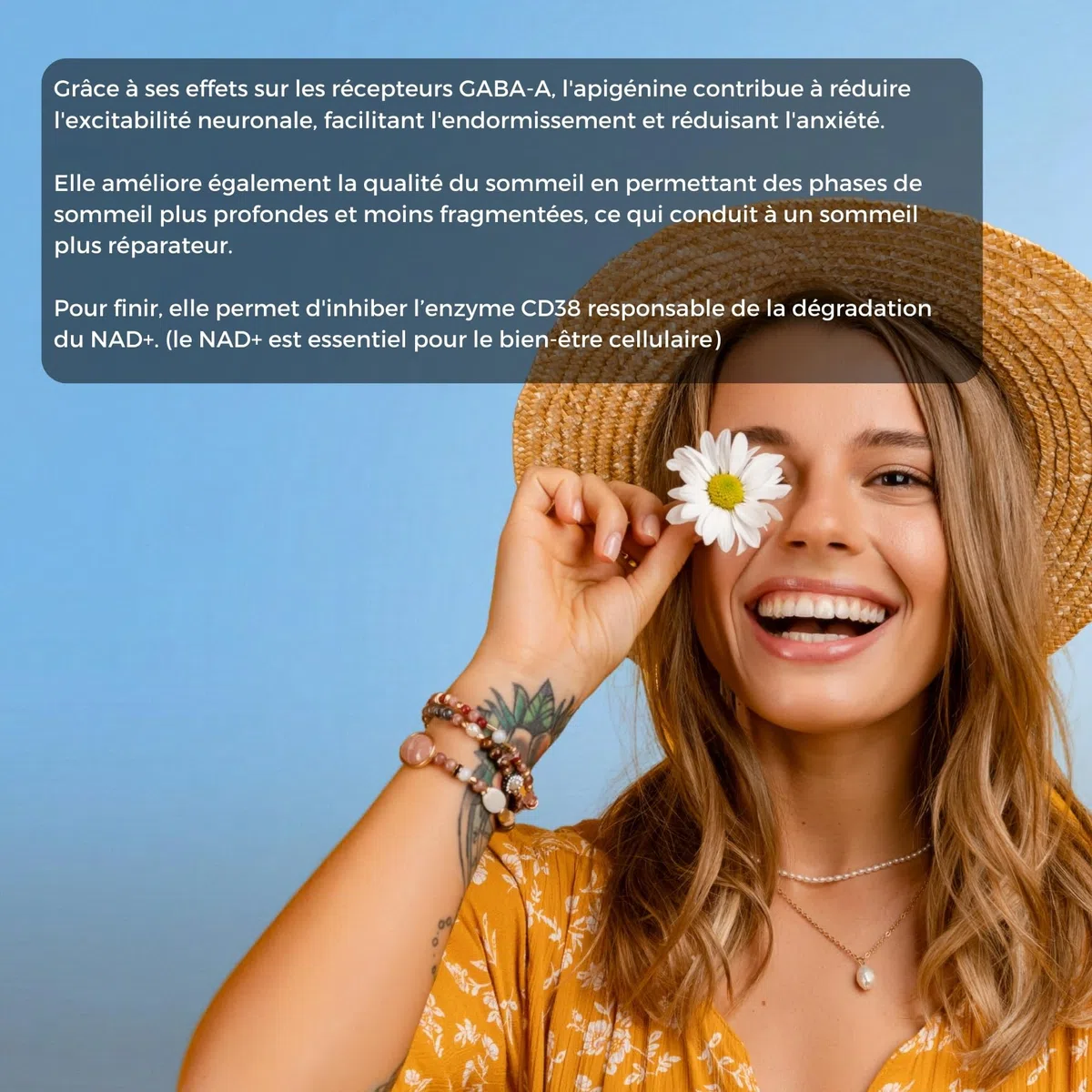 Apigénine Pure ✦ Extrait de Camomille ✦ Relaxation & Sommeil Réparateur ✦ Antioxydant & Longévité ✦ Boost le NAD+ ✦ 100% Naturel & Sans Additifs ✦ Société Française ✦