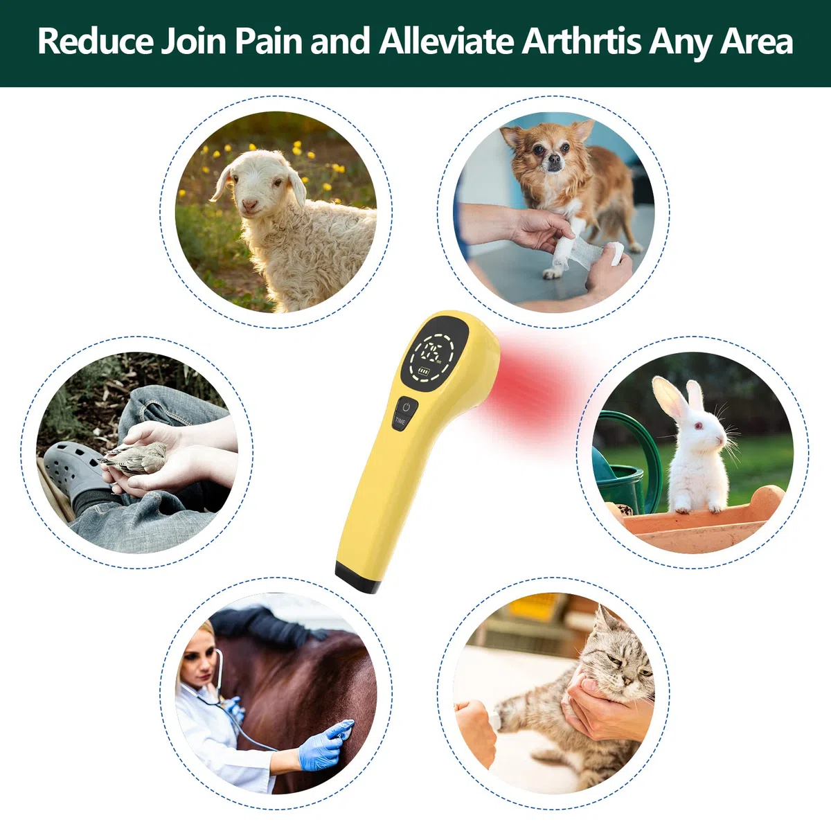 iKeener Appareil Thérapie Animaux/Vétérinaire,Thérapie au Laser Soulager Douleurs Articulaires Musculaires,Portable Thérapie Lumière Rouge,Longueur D'onde 650nm,808nm,pour Chiens,Chats,Chevaux (Or)