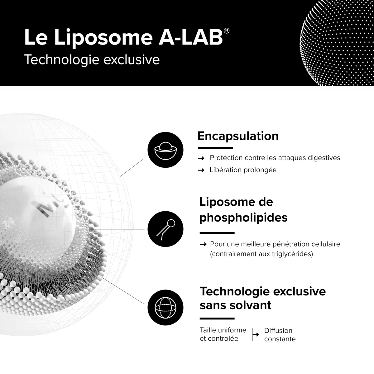 A-LAB Zinc Liposomal 15 mg - Assimilation Renforcée - Complément Alimentaire Immunité, Peau, Cheveux, Vision, Acné - 60 jours de prise - Fabriqué en France