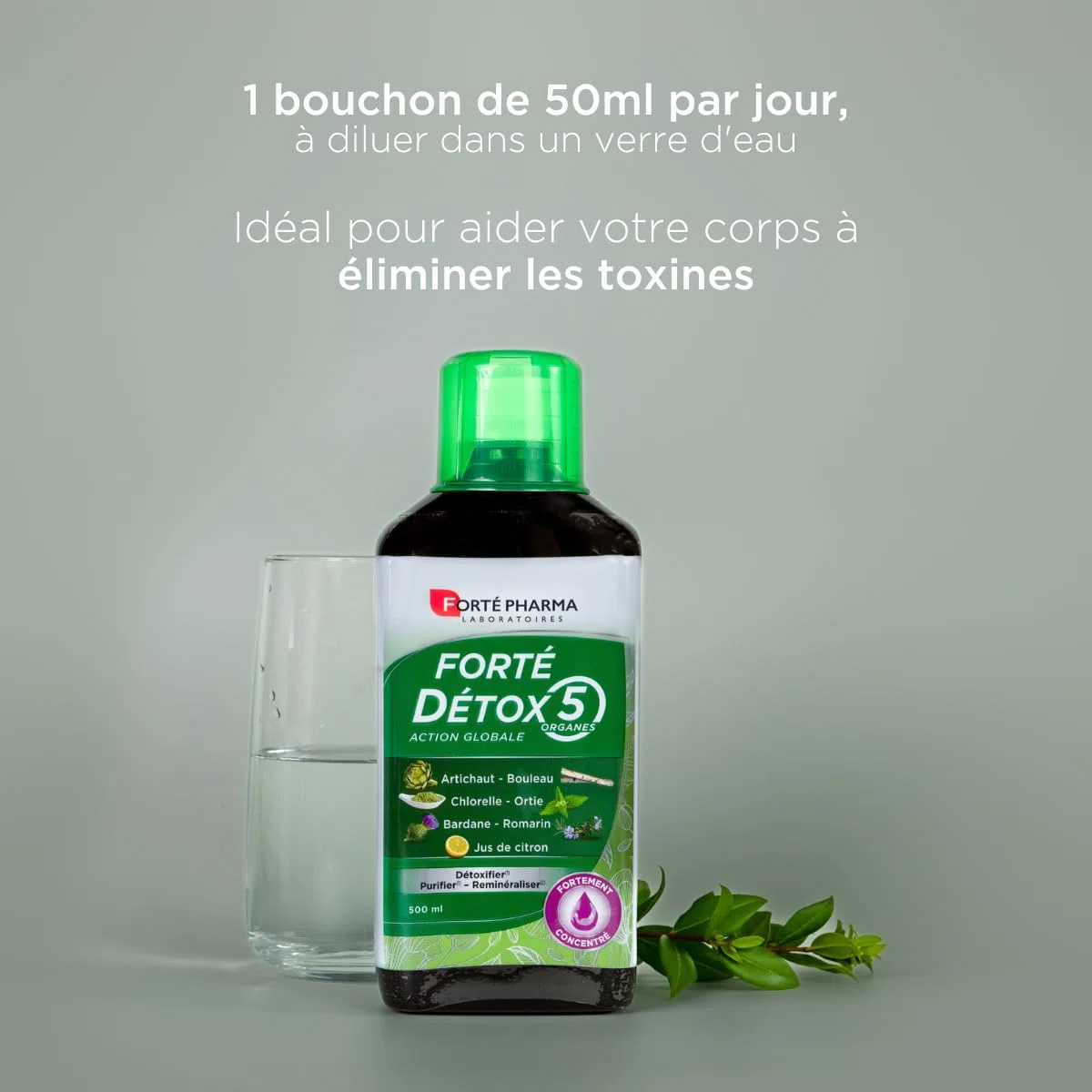Forté Pharma - Forté Détox 5 organes - Artichaut, Bouleau, Bardane, Romarin - Complement alimentaire integrale detox, 5 émonctoires, Elimination - 2x500ml, 20 jours