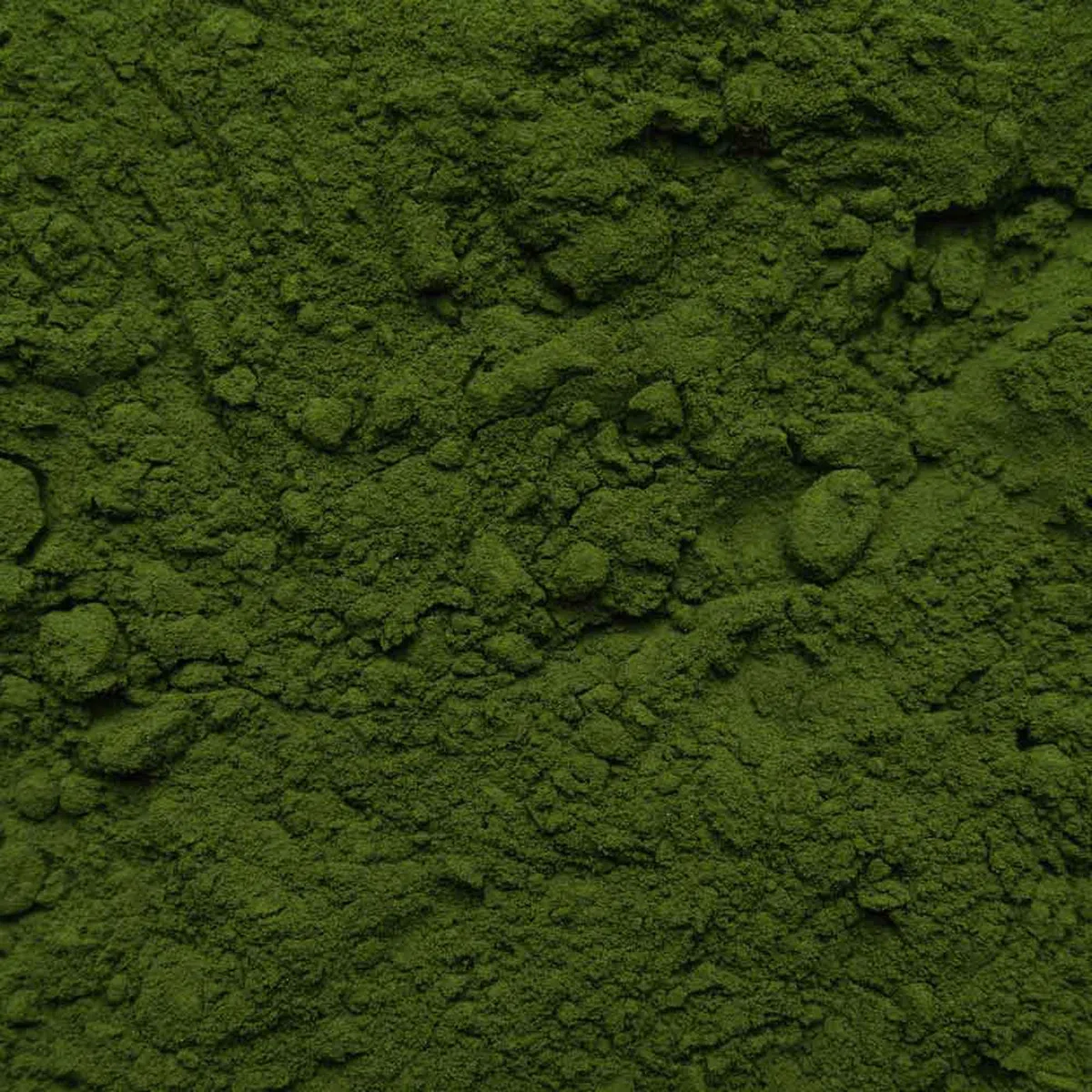 Chlorella en poudre bio 500g - Chlorella Vulgaris - Algues - Conditionné et contrôlé en Allemagne (DE-ÖKO-005)