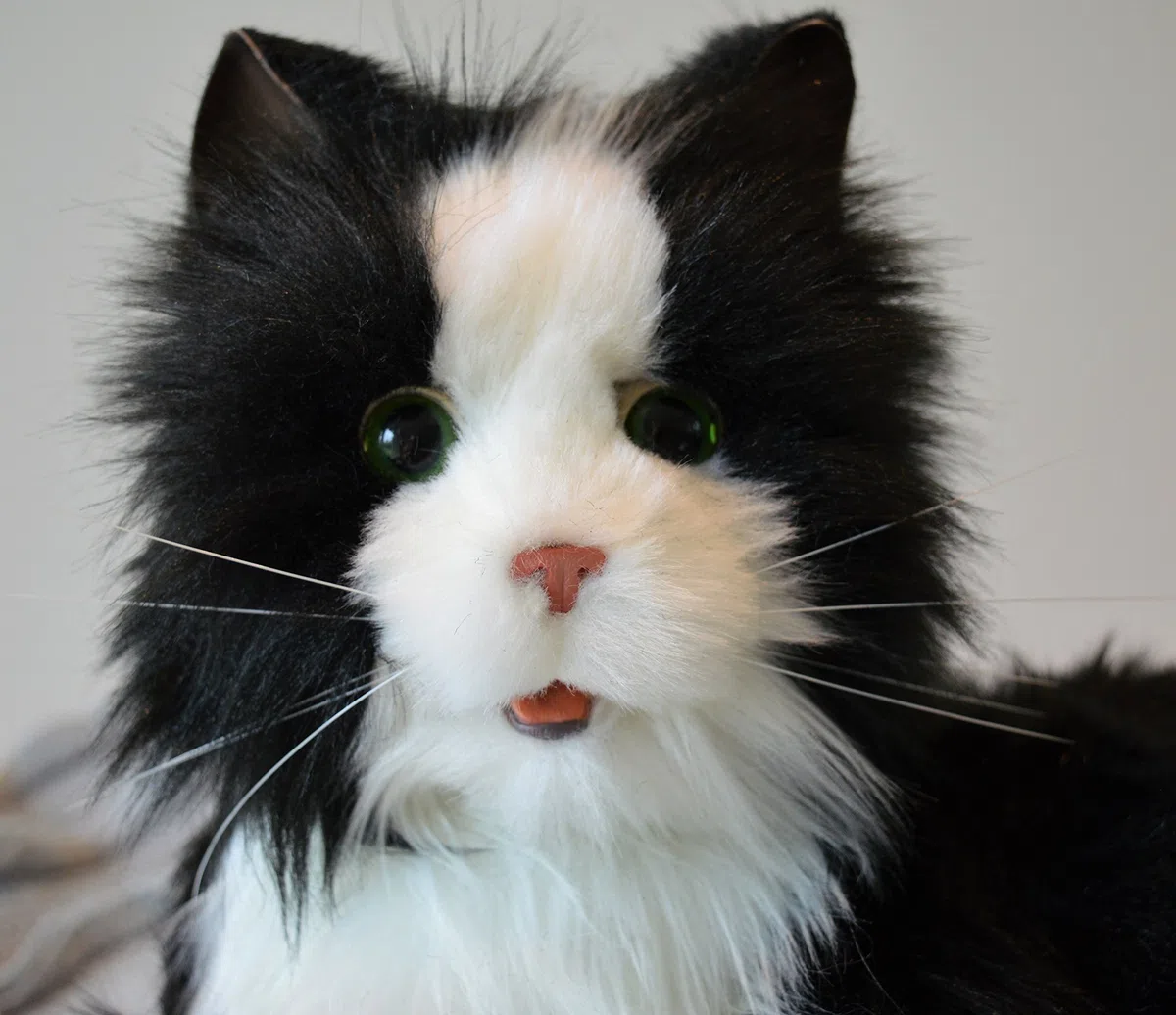 NOUVELLE joie pour tous les chats inclinables noirs et blancs de robotique inclinée - thérapie animale farcie pour des personnes avec la perte de mémoire du vieillissement et des soignants