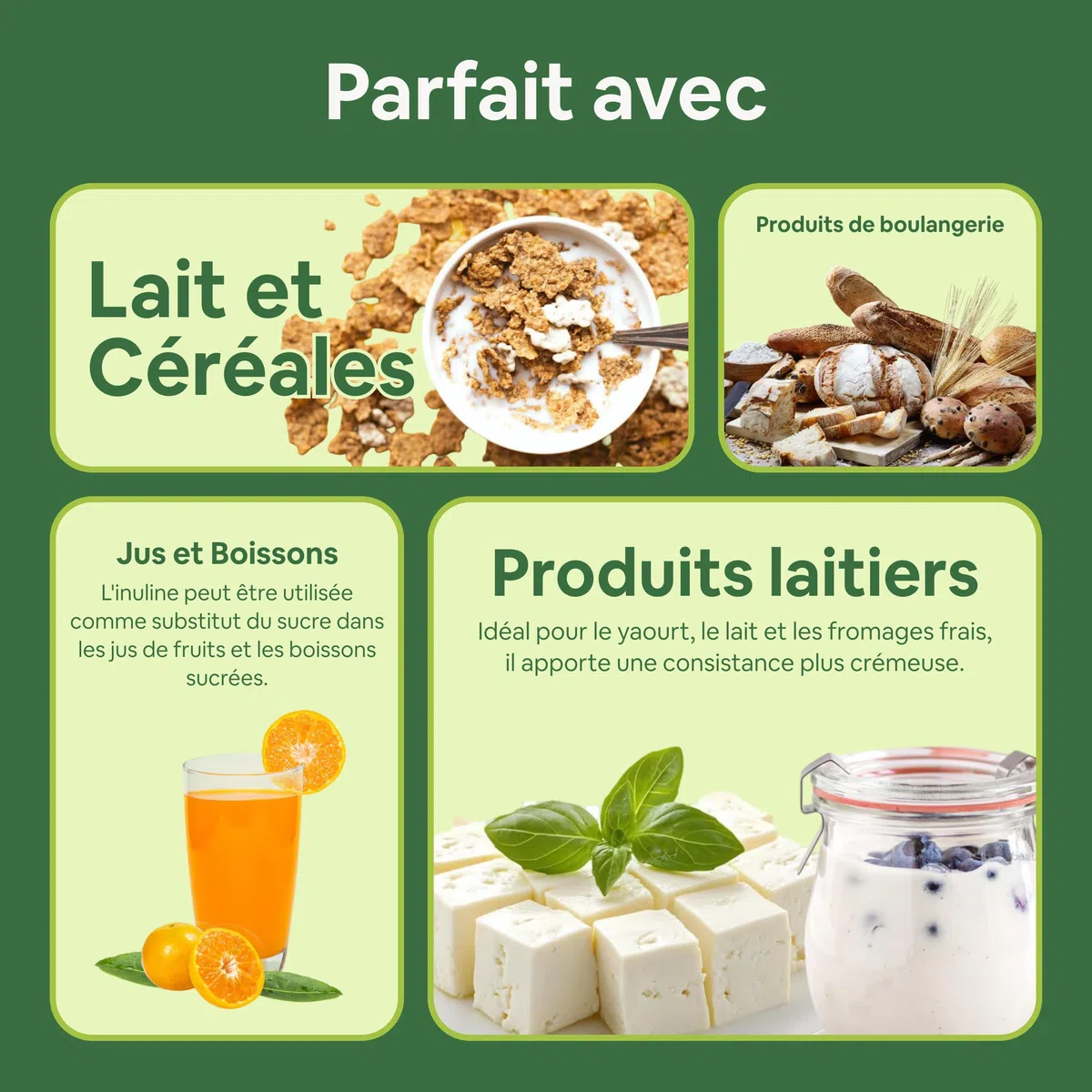 Inuline à Chaîne Longue 1 Kg - Inuline de Chicorée en Poudre 100% Pure - Fibre Prébiotique Végane et Sans Gluten - Fibre Alimentaire