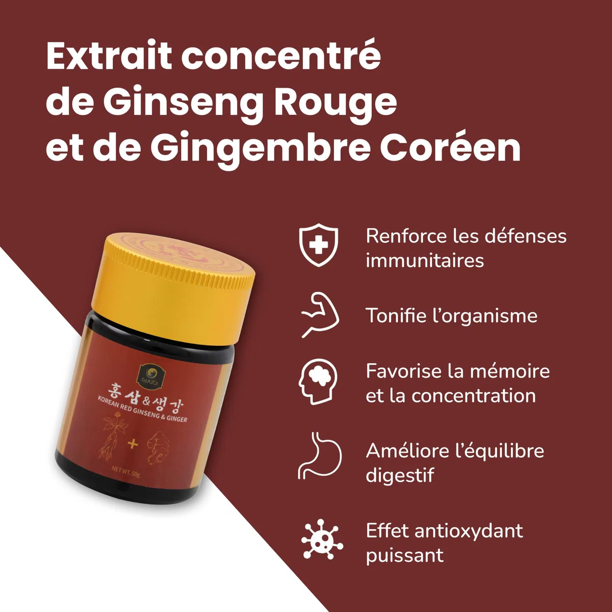 SAMSIDAE - Ginseng Rouge & Gingembre Coréen, Ginseng titré 10 mg/g, Énergie, digestion, immunité, Cuillère incluse,Qualité Supérieure, Cure de 1 mois, 50g
