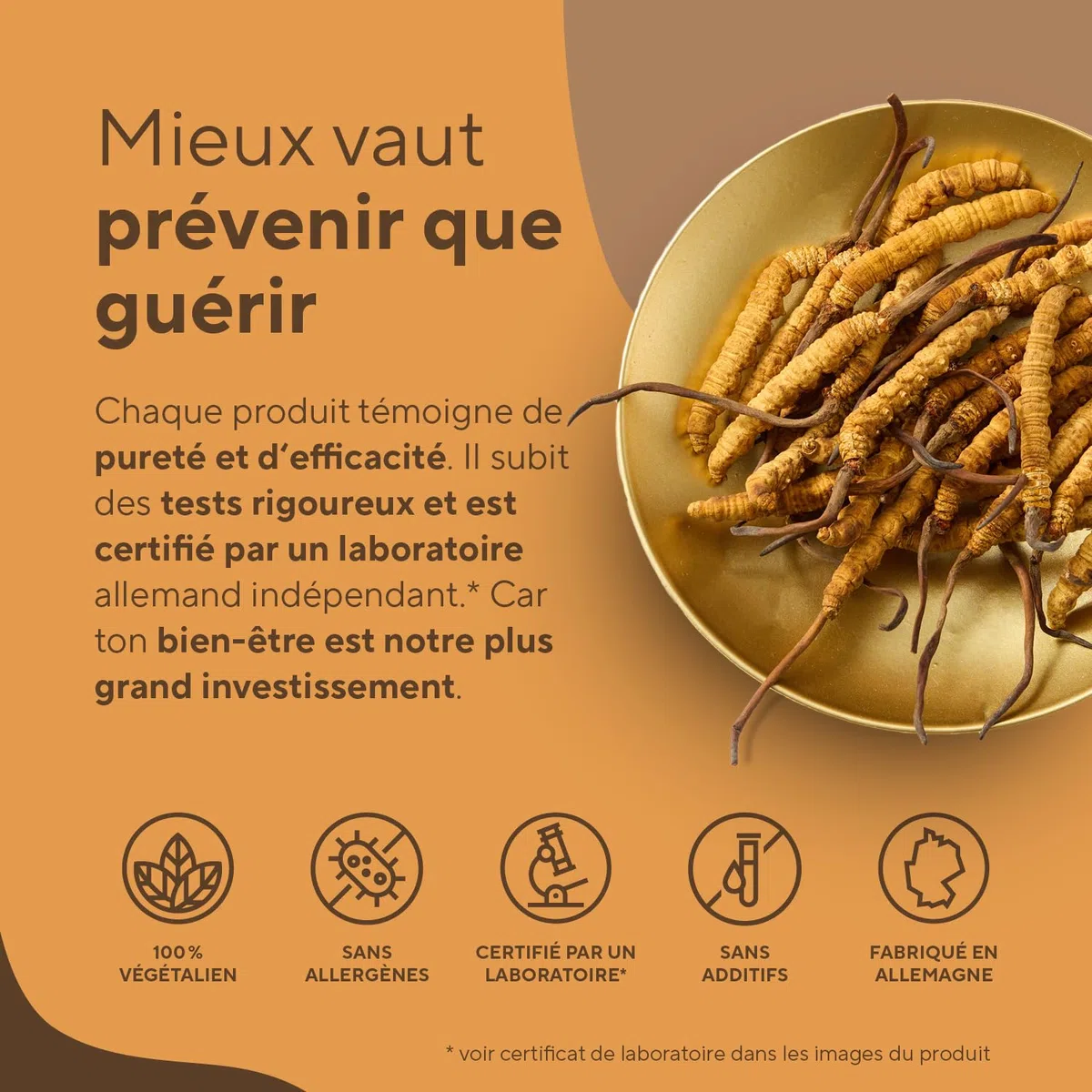 Cordyceps – 6.500 mg CS-4 (10:1) par unité | 270 Gélules pour 3 Mois | Vitalité, Énergie, Immunité | 40 % de Polysaccharides | Vegan, Sans Additifs, Gluten & Lactose – TRUE NATURE