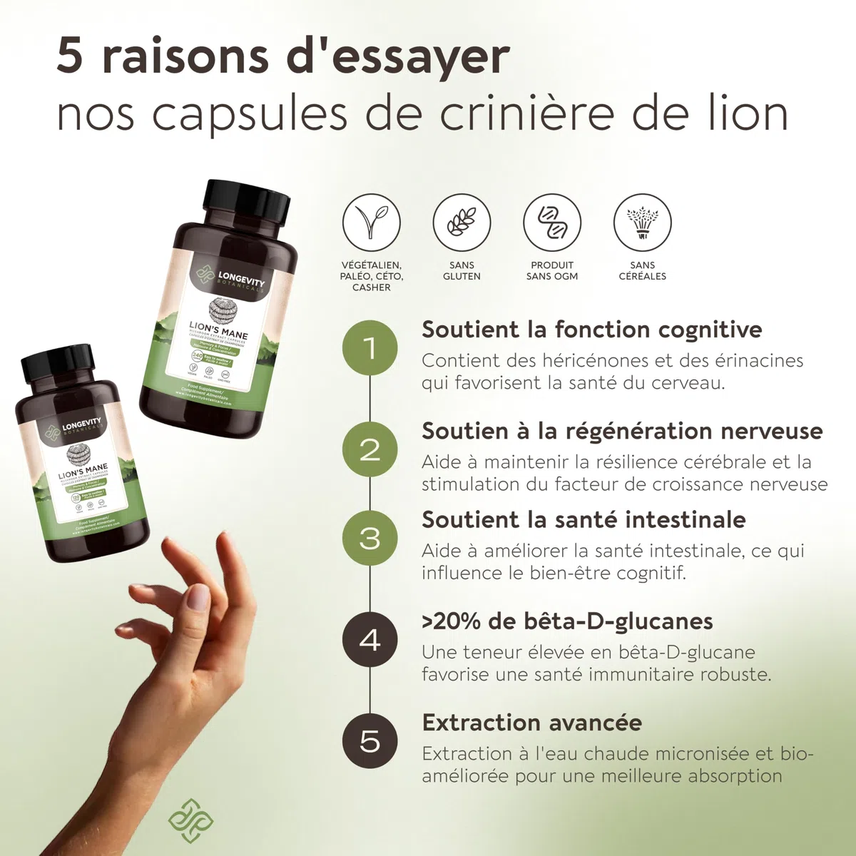 Gélules Crinière de Lion (Lion’s Mane) x120 | Extrait Puissant 8:1 de Champignon Corps Fructifère Pur | 20% Bêta-D Glucanes | Équivalent Brut 7200mg par Portion | Soutien Mémoire Intestin & Cerveau