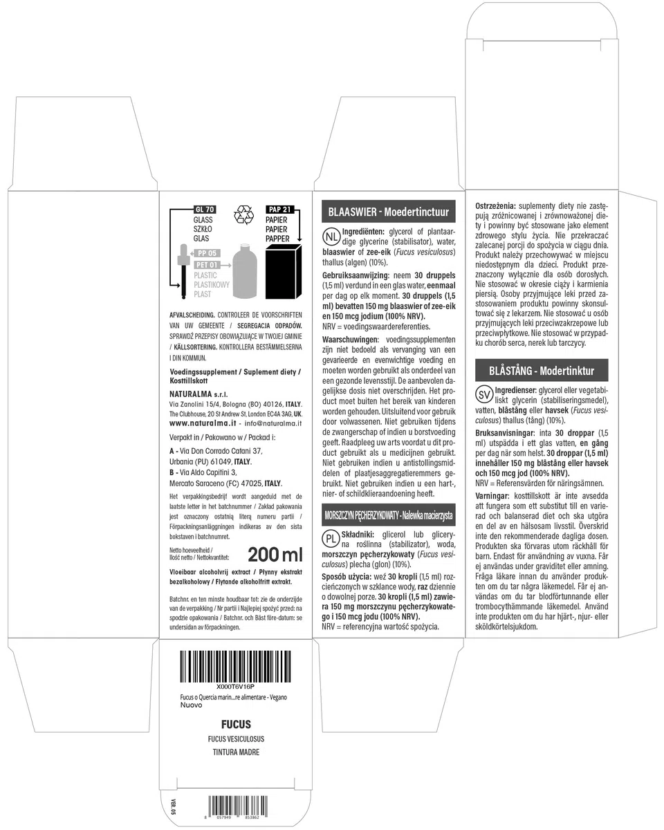 Fucus vésiculeux ou Chêne marin (Fucus vesiculosus) thalle (algue) Teinture Mère sans alcool Naturalma - Extrait liquide gouttes 200 ml - Complément alimentaire - Végétalien ou végan