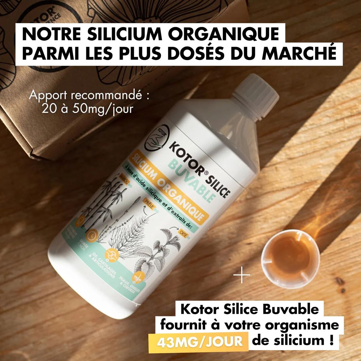 KOTOR SILICE BUVABLE 1L | Silicium Organique Francais & Naturel | Fortement Dosé | Santé des Articulations, Cartilages, Os, Peau, Cheveux, Ongles | Silicium + Ortie + Prêle + Bambou | 1 mois