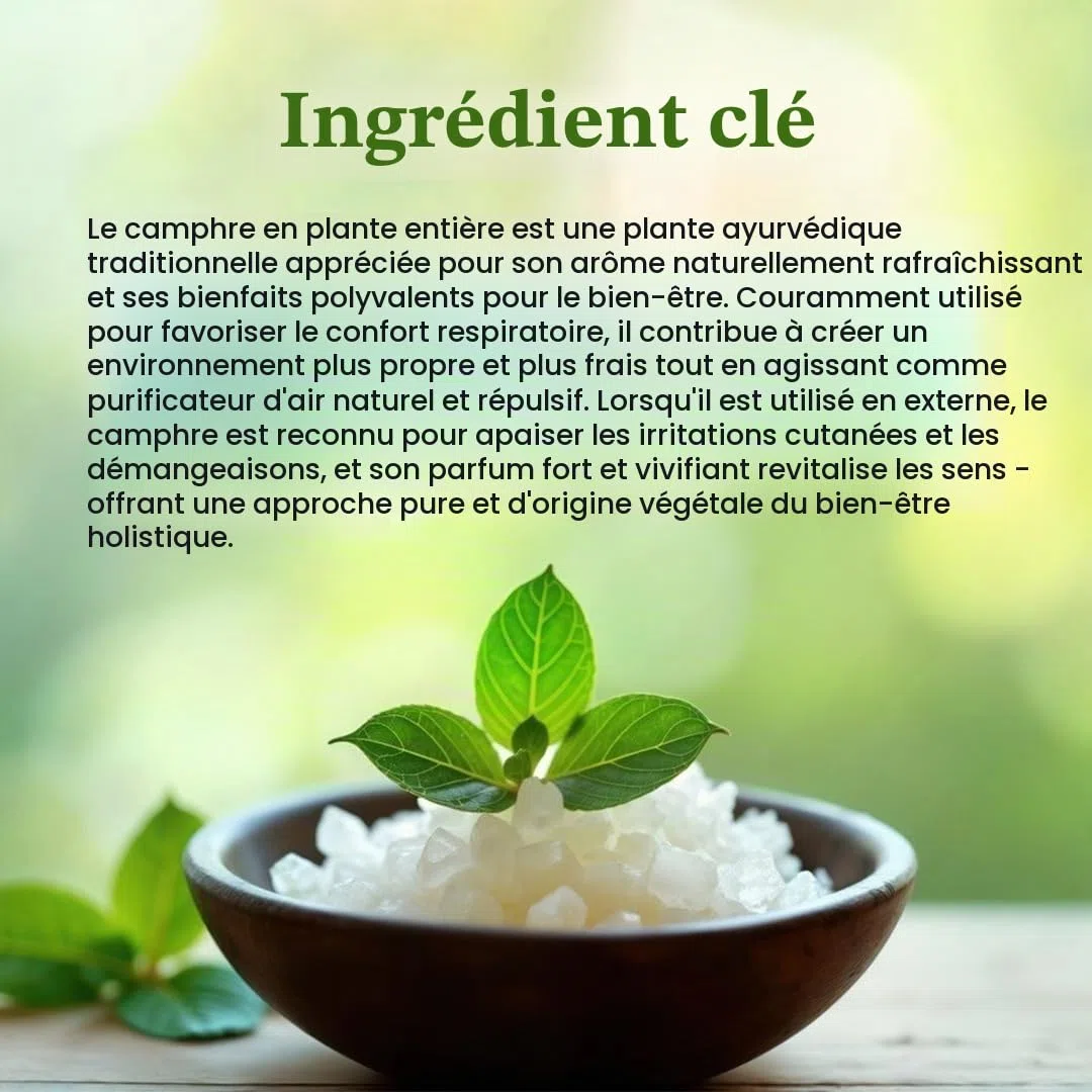 Kapoor Poudre de camphre 250 g
