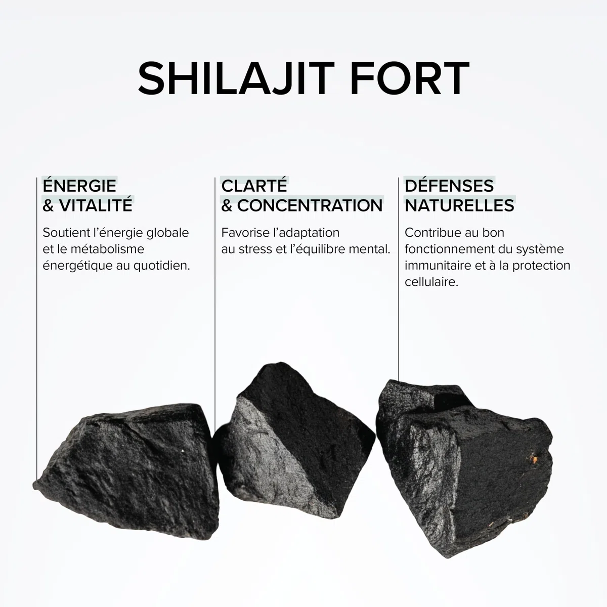 Shilajit Pur d’Himalaya Haut Dosage 1500mg – 60% Acides Fulviques – Complément Alimentaire Énergie, Vitalité – Vegan, sans Lactose, sans Gluten – Cure 3 Mois – 90 Gélules Végétales – Beyond Elements