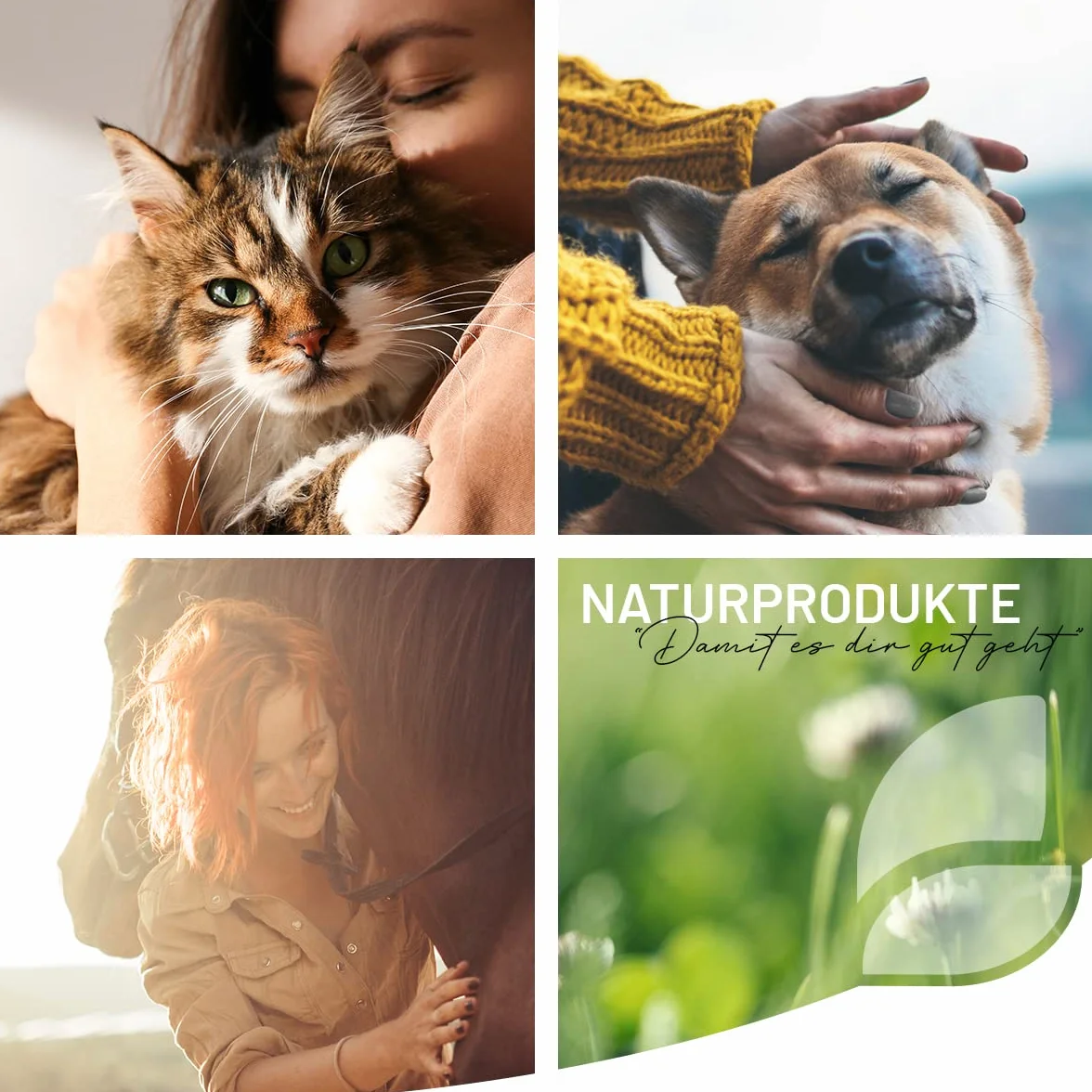 Poudre de Propolis REAVET pour Chiens et Chats 20g - de qualité Alimentaire, Soutien Naturel du système immunitaire et de la Peau Vitale grâce au Pouvoir de la Nature