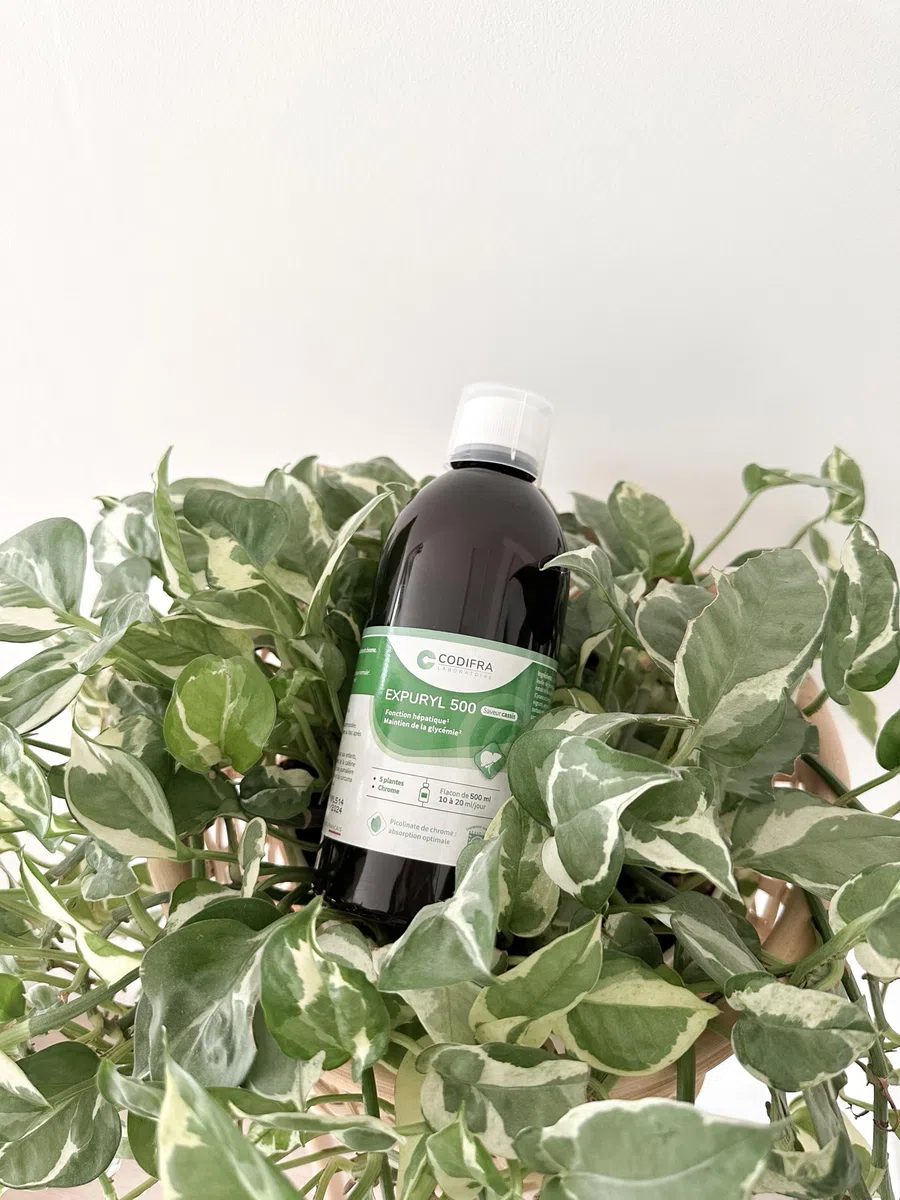 Codifra - Expuryl, Complément Alimentaire Confort Digestif, Phytodraineur et Détox Naturel - Artichaut, Pissenlit, Curcuma, Thé Vert, Chrome - Fabrication Française - Goût Cassis - 500 ml