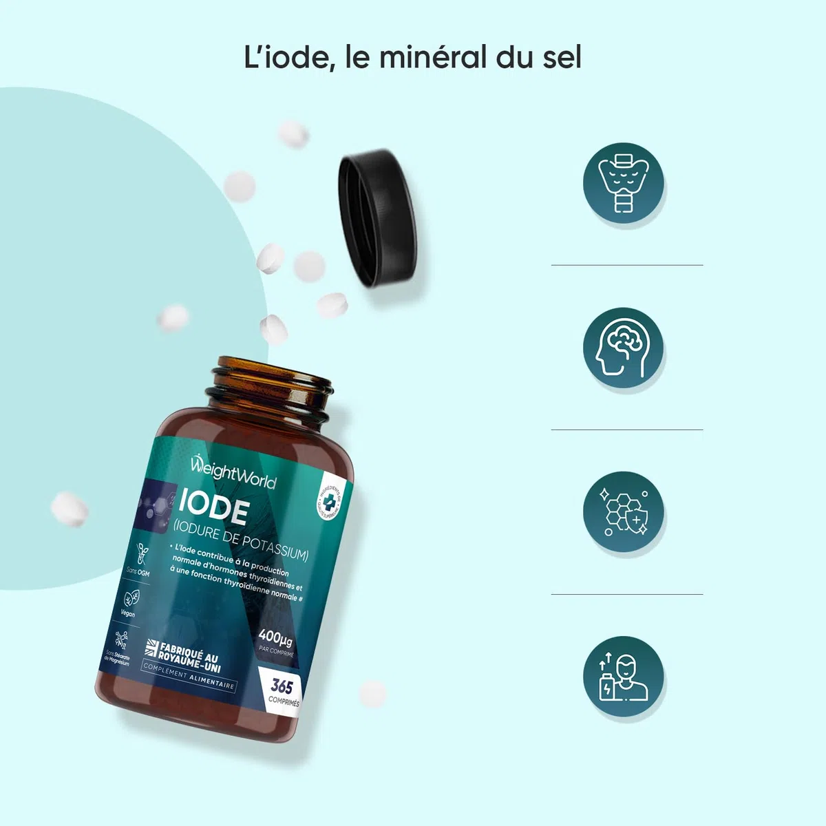 Iode 400μg - 365 Micro Comprimés Vegan - 1 Comprimé tous les 3 Jours - Iodure de Potassium Stable sans OGM ni Stéarate de Magnésium - Apport Standardisé d'Iode
