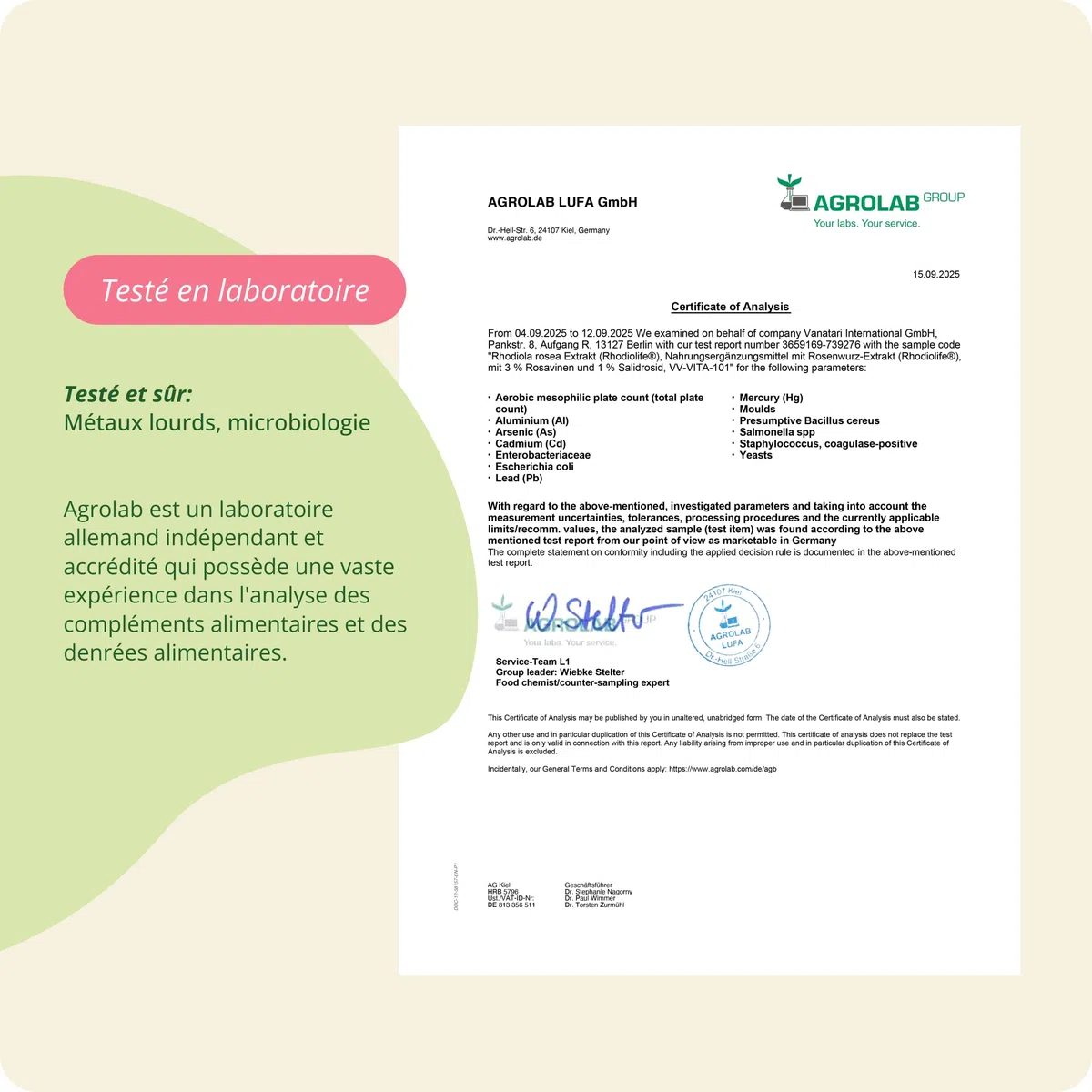 Rhodiola Rosea Vegavero® | 1200 mg (Extrait 6:1) | 120 Gélules (4 MOIS) | Anti Stress + Fatigue + Mémoire | RHODIOLIFE® | 3% Rosavine + 1% Salidroside | SANS ADDITIFS et VEGAN